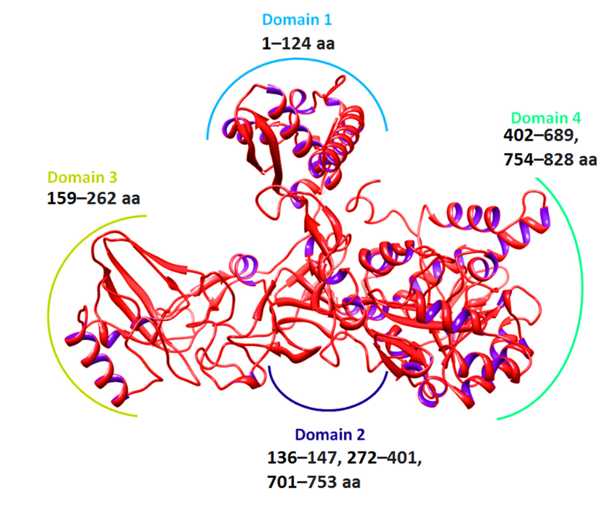 Ijms 23 11646 g004 Ijms 23 11646 g004