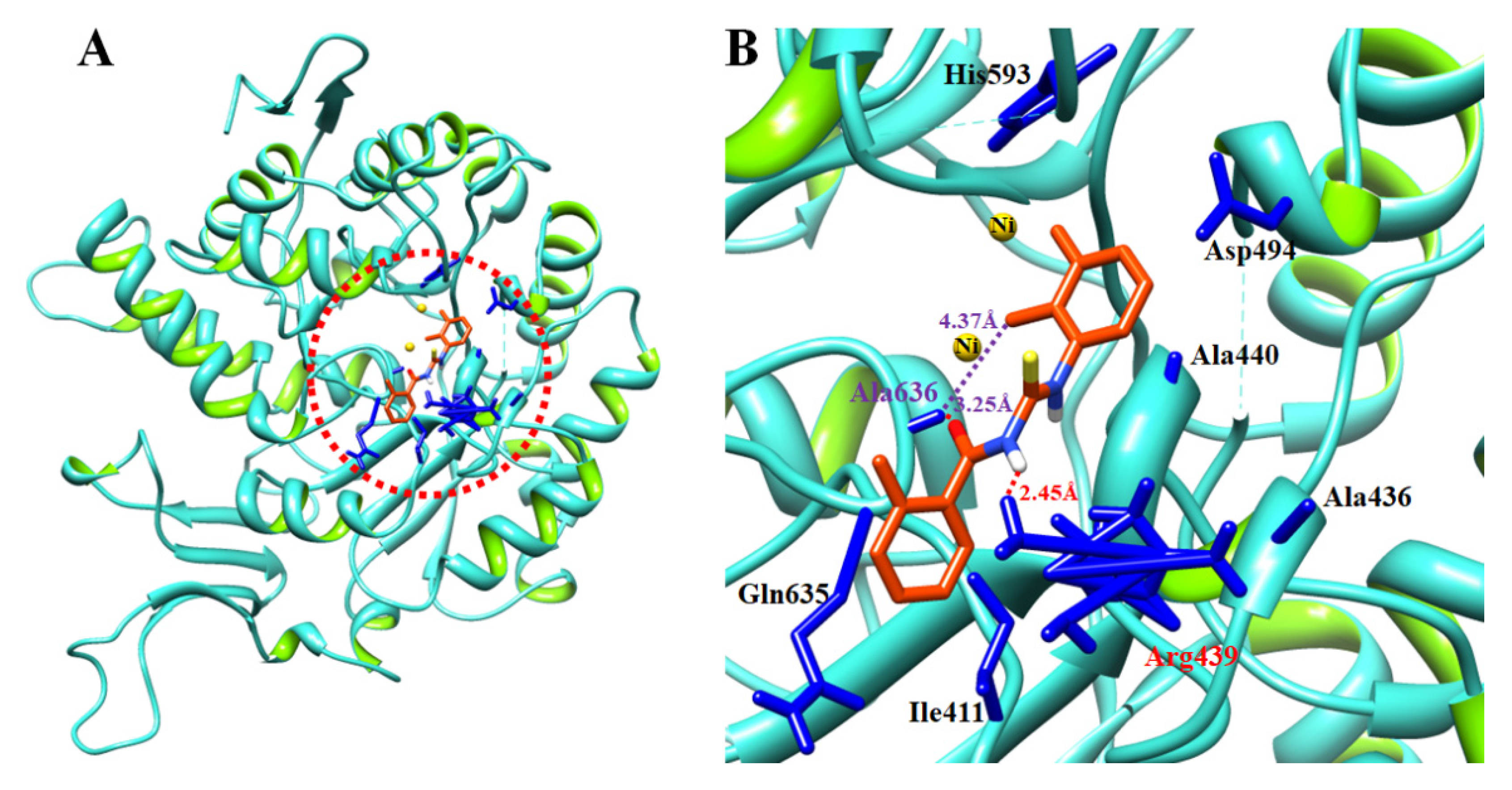 Ijms 23 11646 g006 Ijms 23 11646 g006