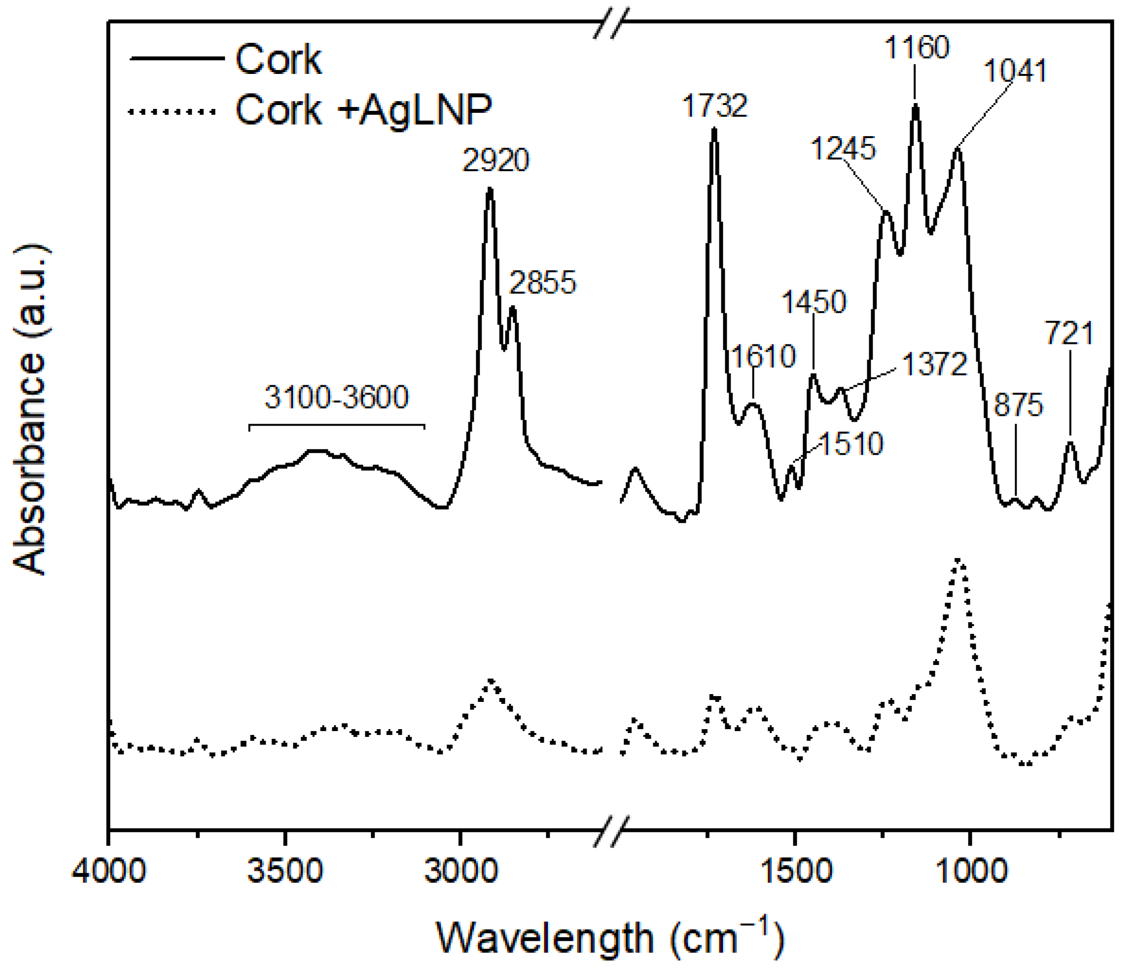 Ijms 23 11679 g002 Ijms 23 11679 g002