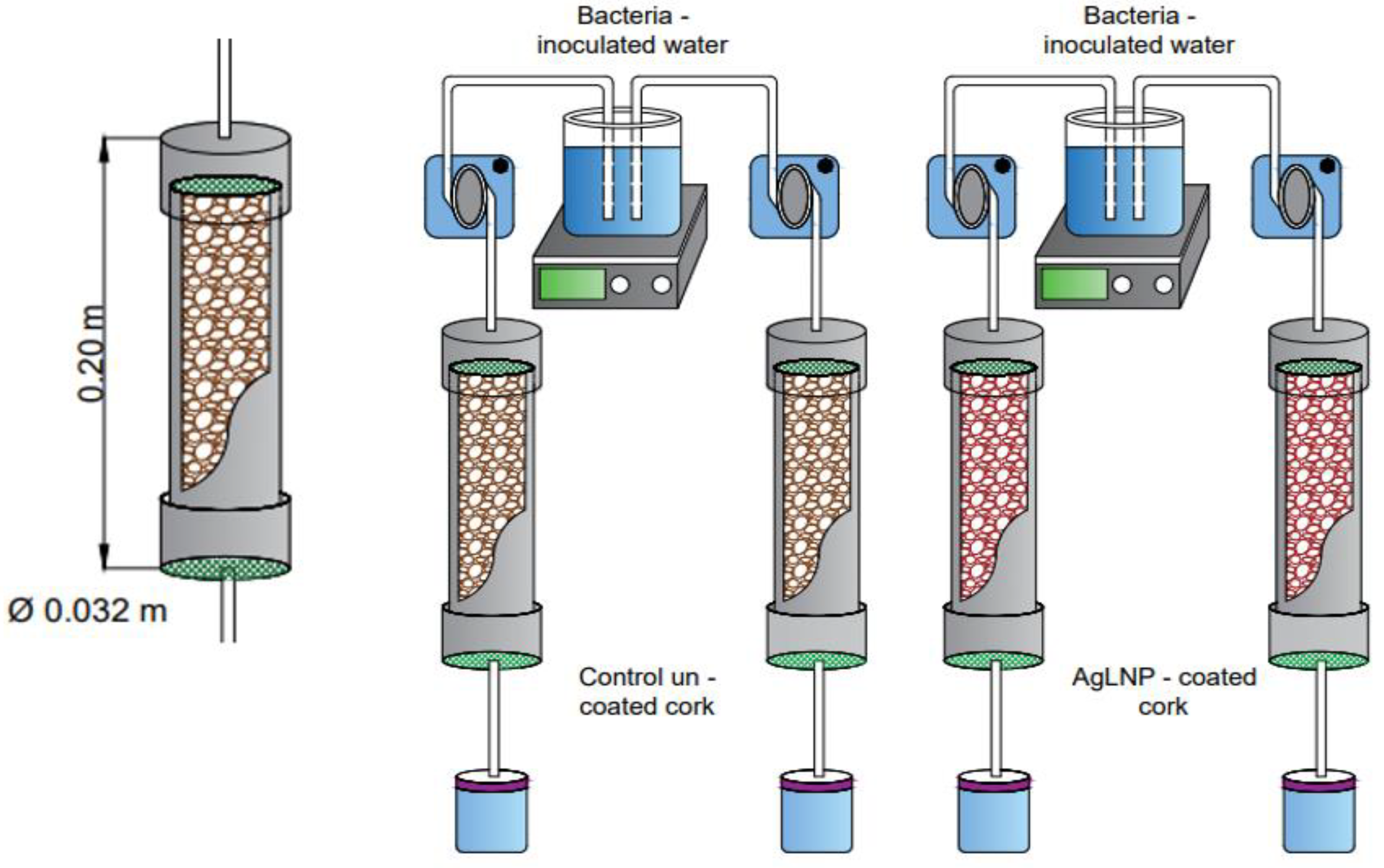 Ijms 23 11679 g007 Ijms 23 11679 g007