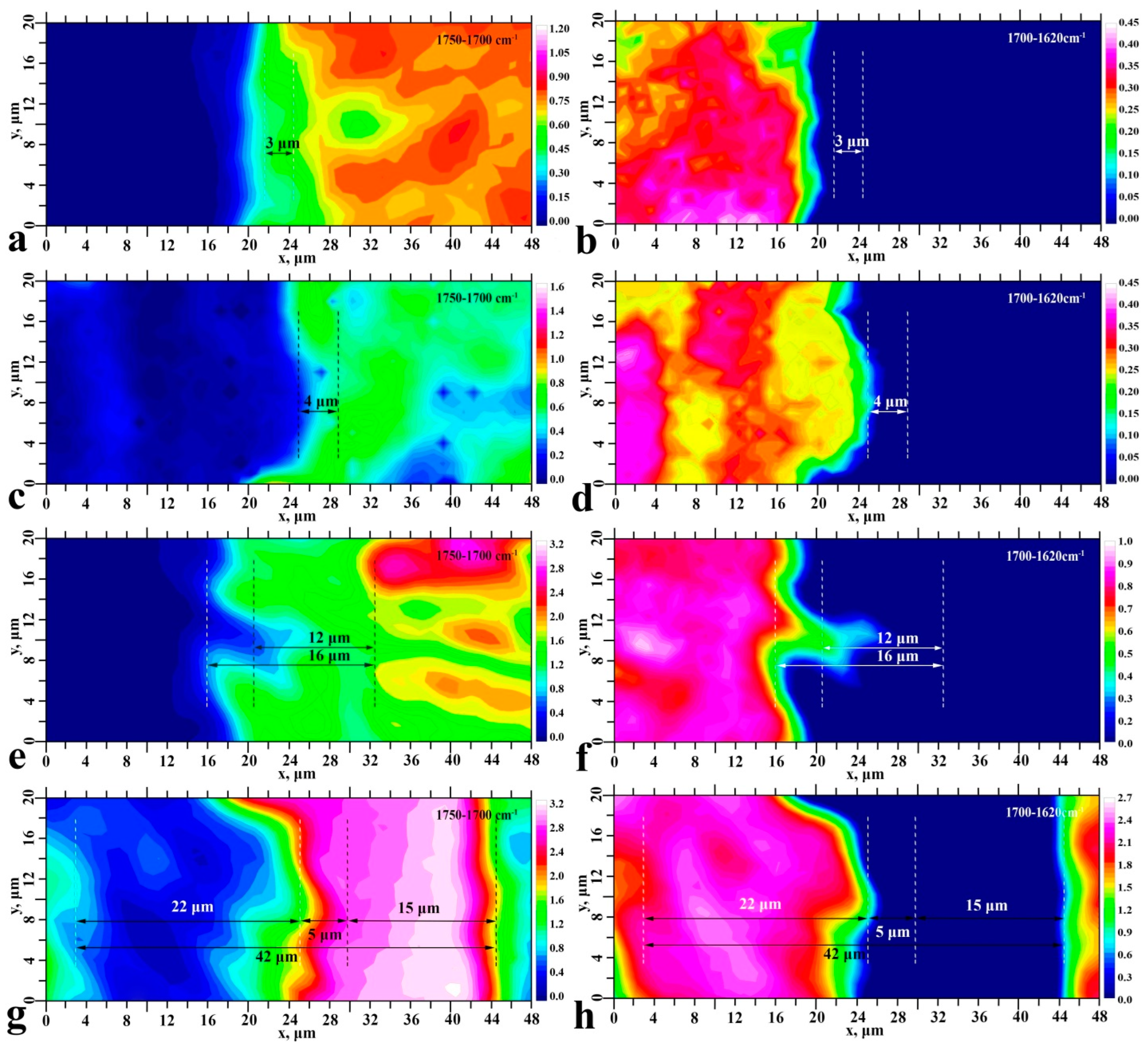 Ijms 23 11699 g004 Ijms 23 11699 g004