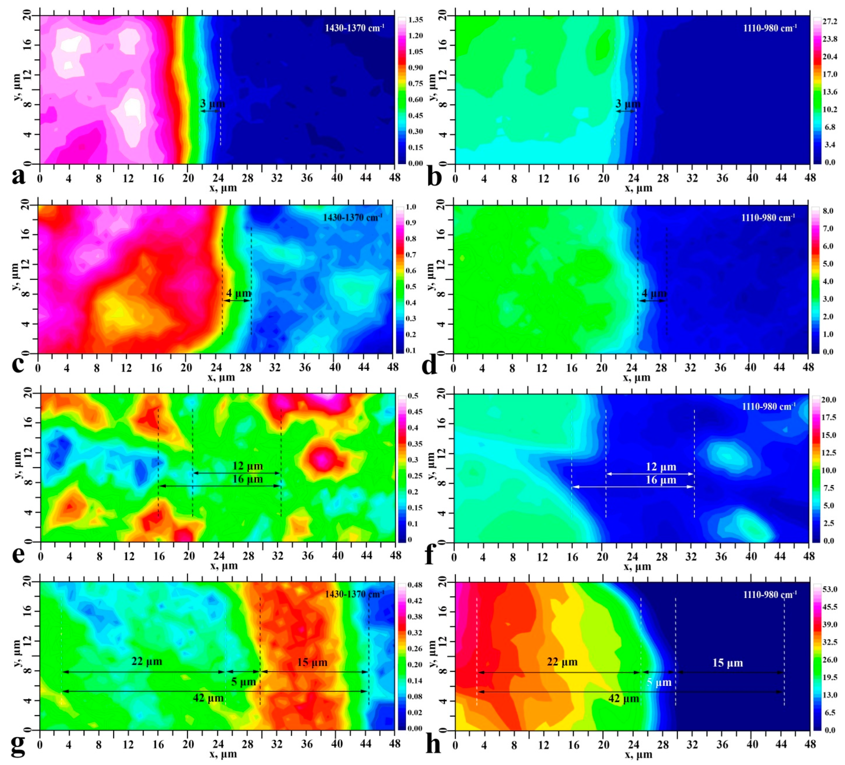 Ijms 23 11699 g005 Ijms 23 11699 g005