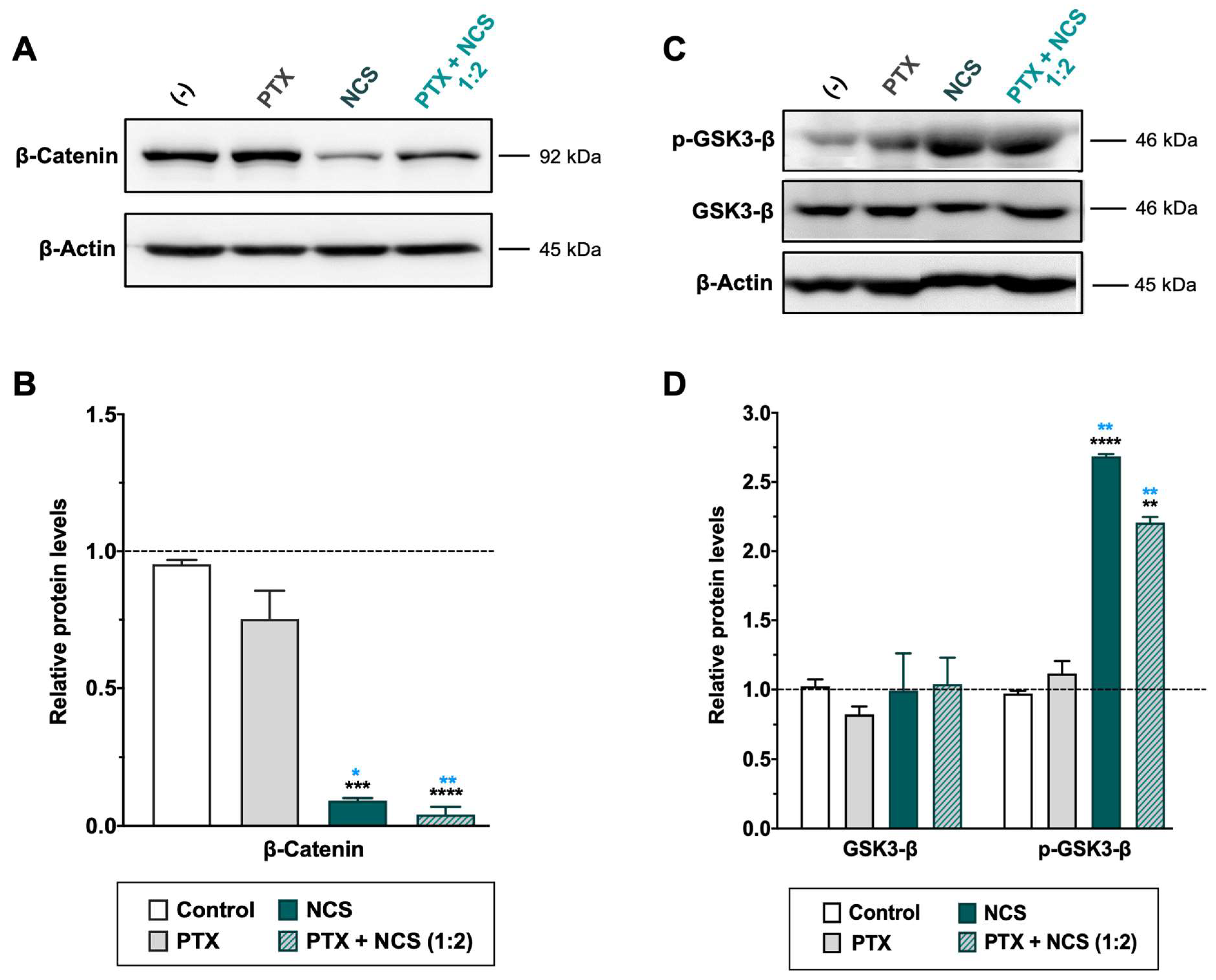 Ijms 23 11760 g008 Ijms 23 11760 g008