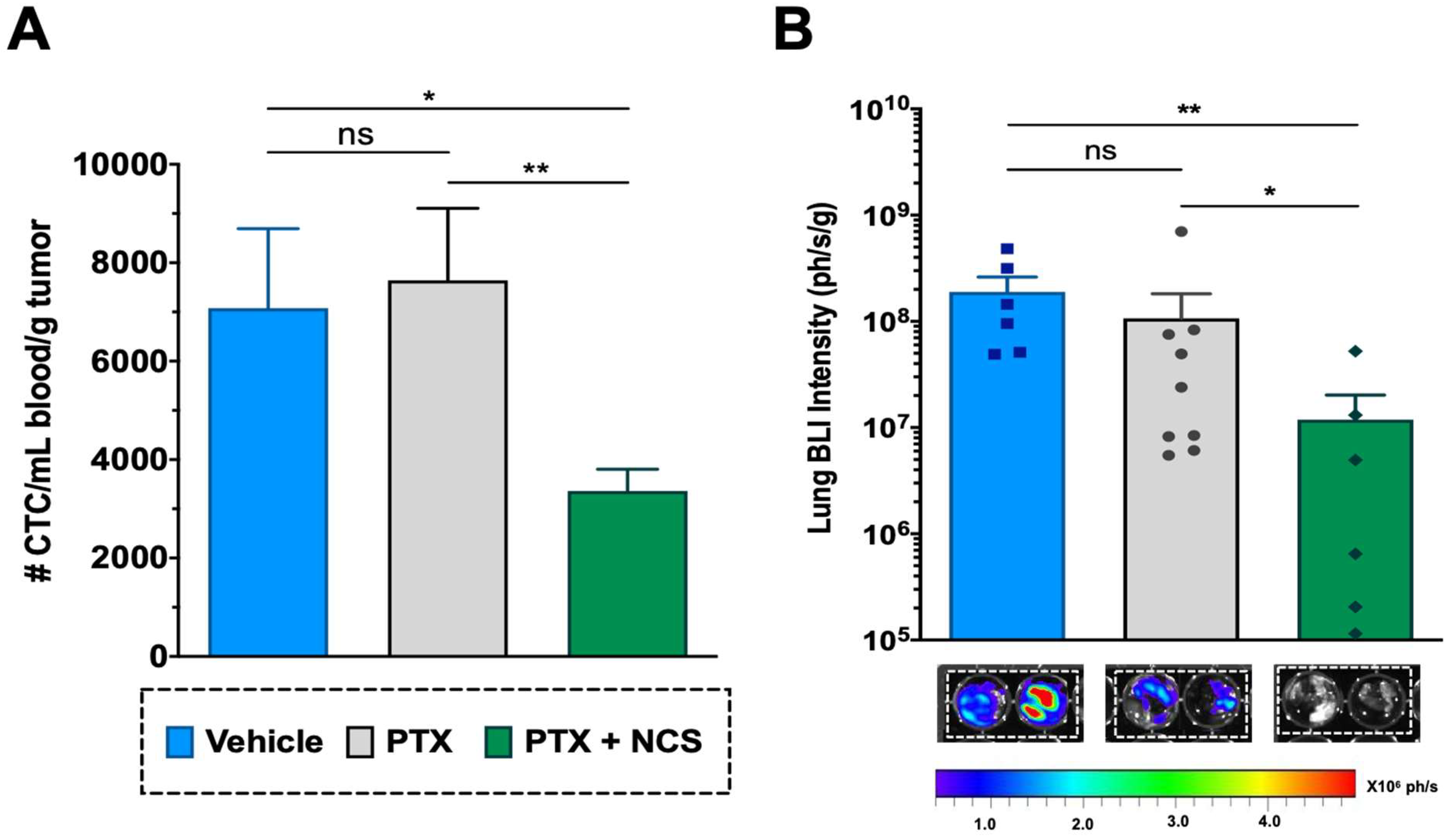 Ijms 23 11760 g010 Ijms 23 11760 g010