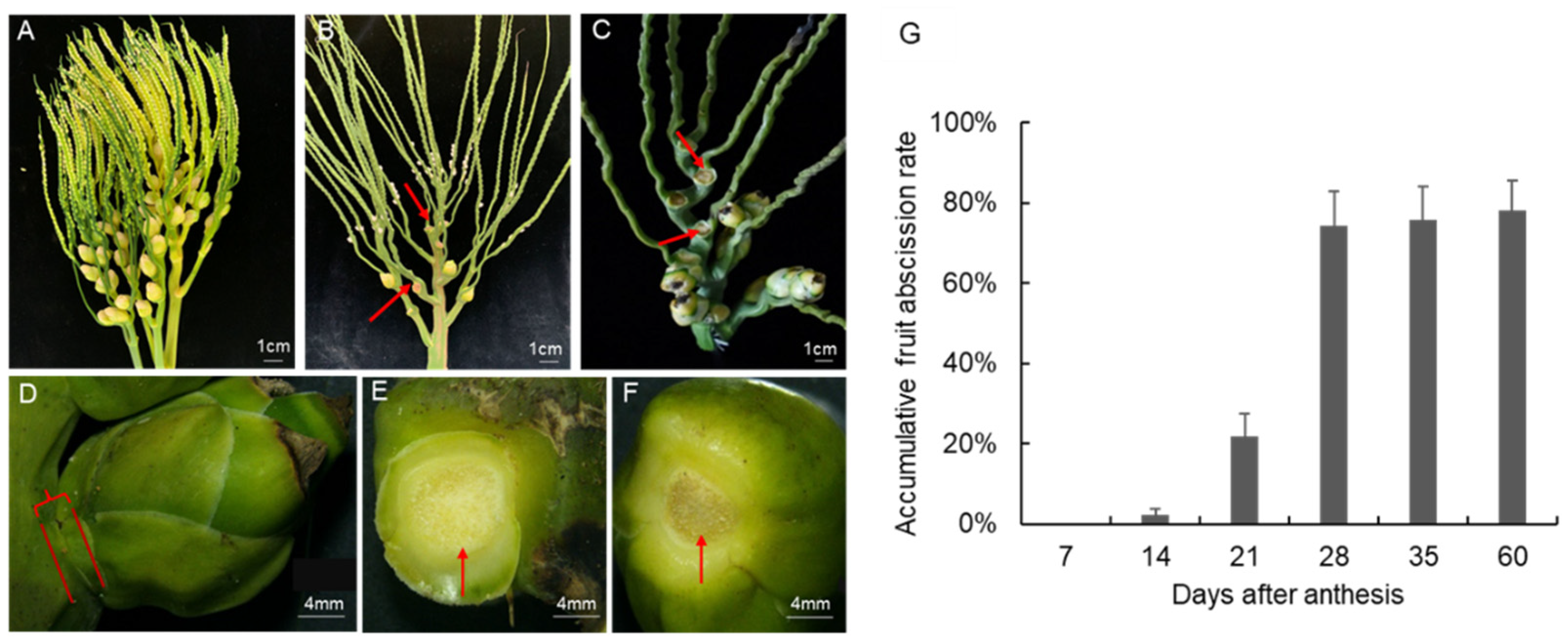 Ijms 23 11768 g001 Ijms 23 11768 g001