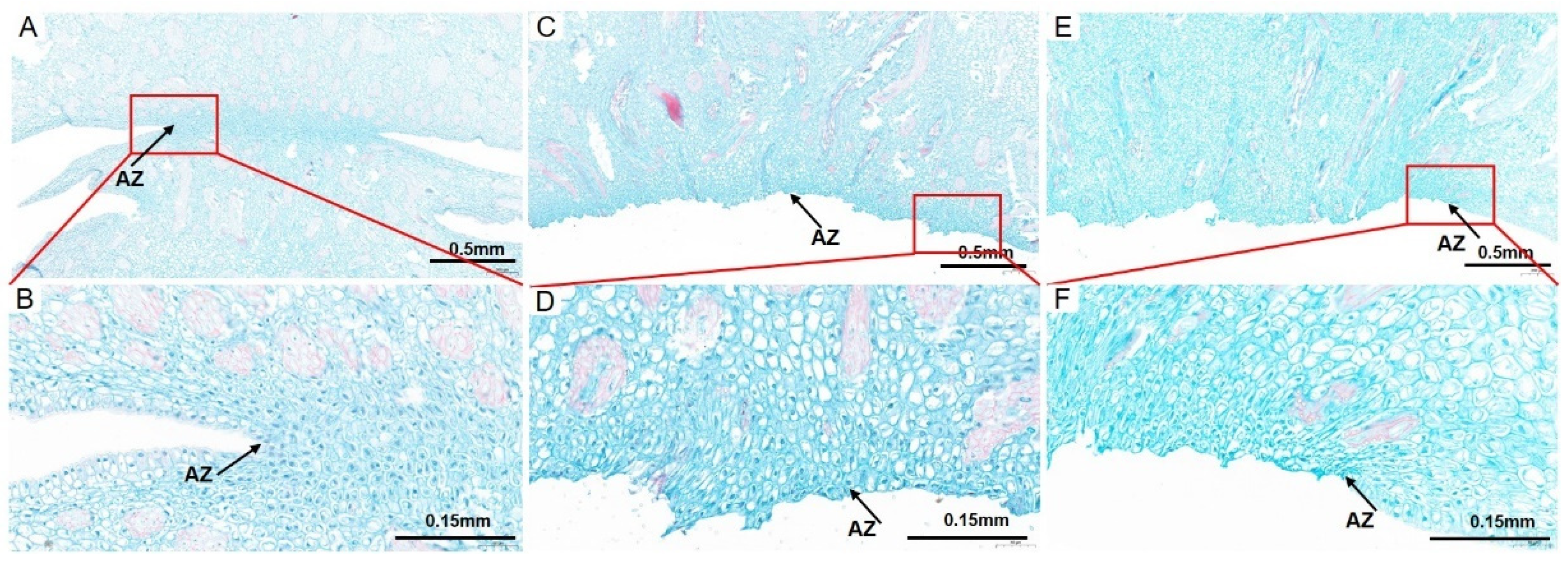 Ijms 23 11768 g002 Ijms 23 11768 g002