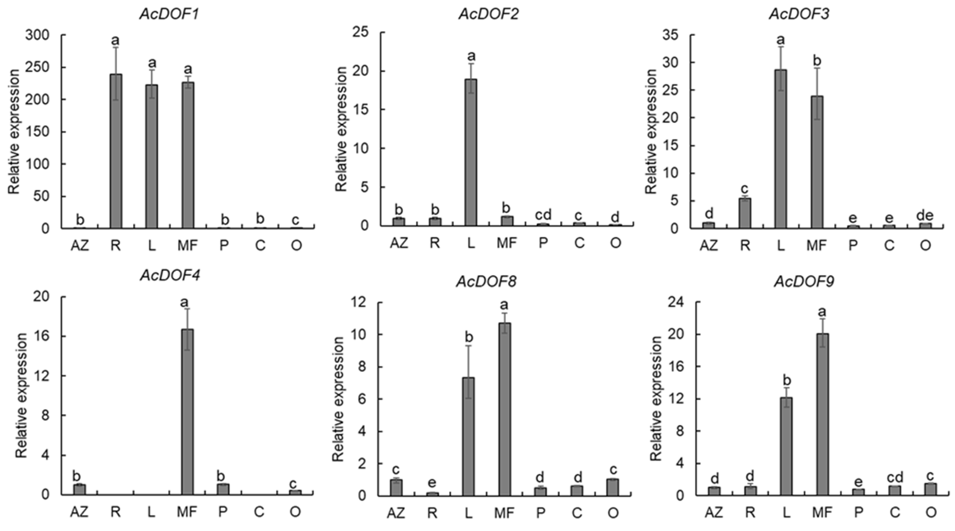 Ijms 23 11768 g004 Ijms 23 11768 g004