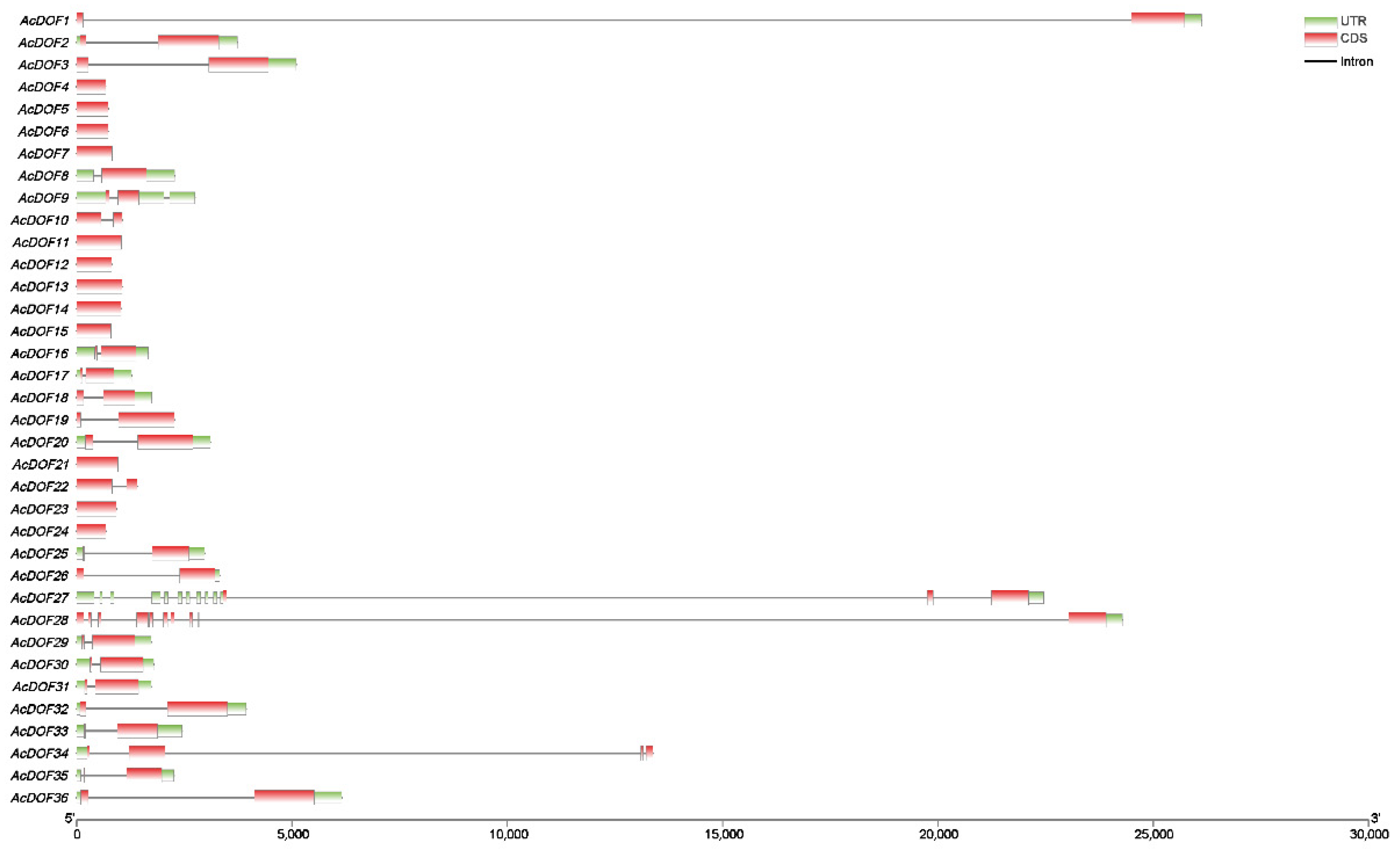 Ijms 23 11768 g006 Ijms 23 11768 g006