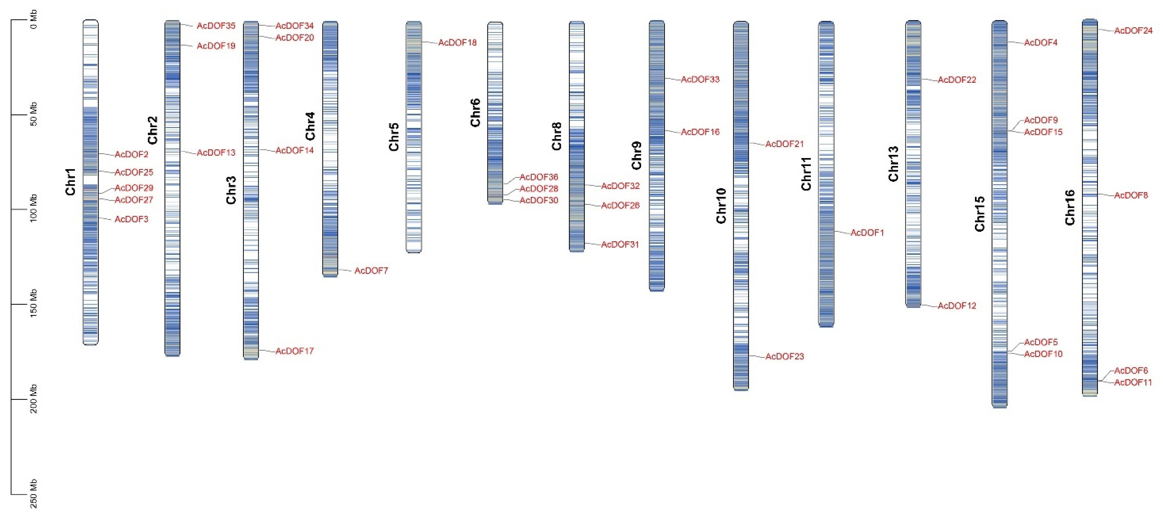 Ijms 23 11768 g007 Ijms 23 11768 g007