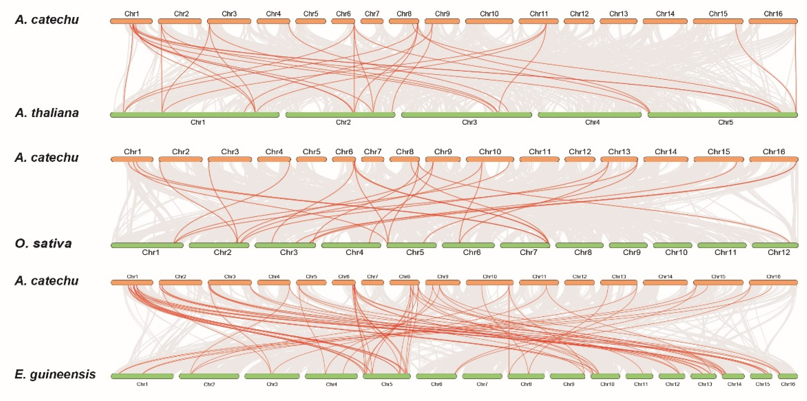 Ijms 23 11768 g008 Ijms 23 11768 g008