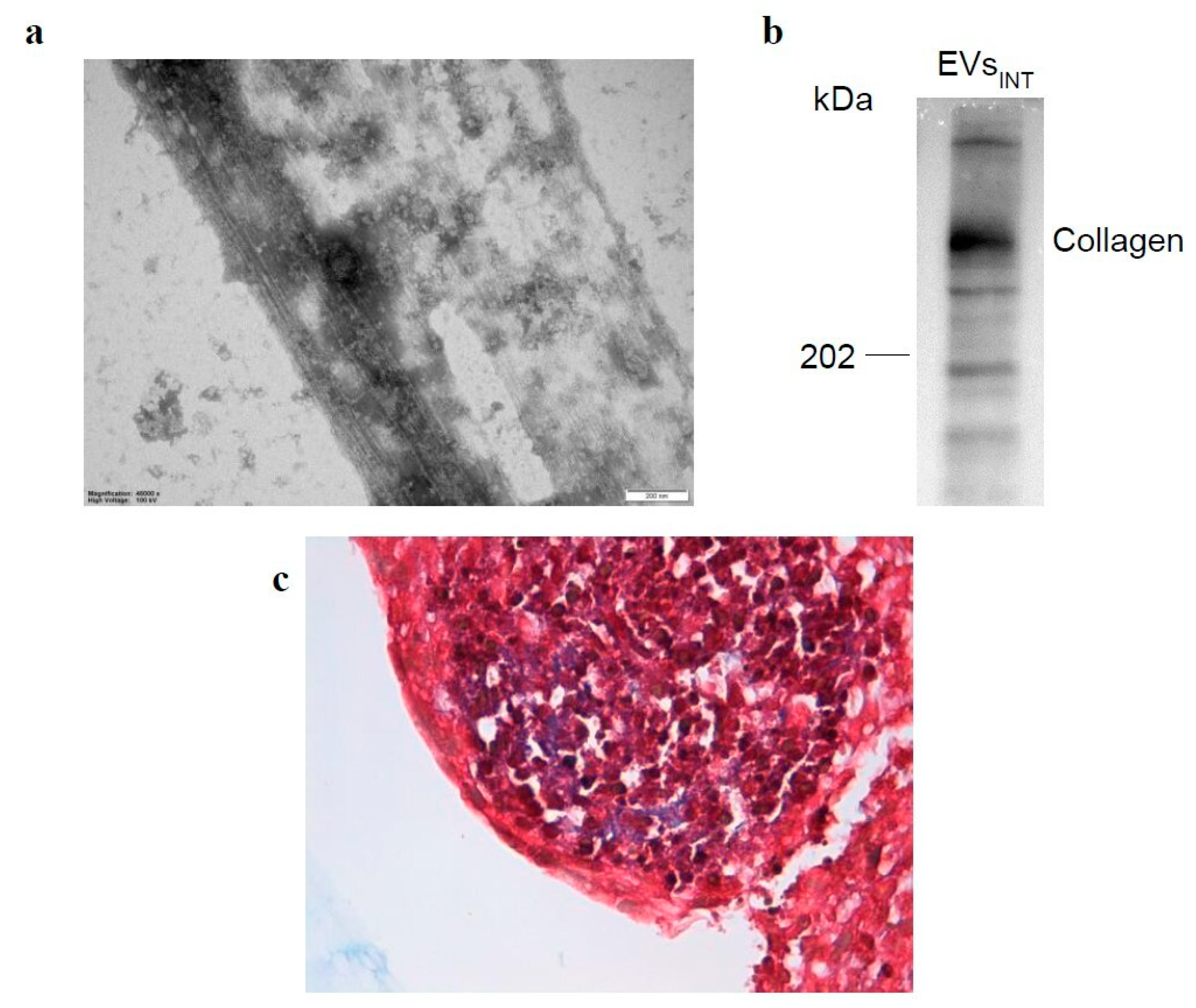 Ijms 23 11782 g005 Ijms 23 11782 g005