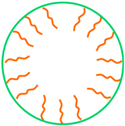 Ijms 23 11793 i010 Ijms 23 11793 i010