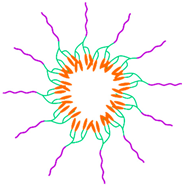 Ijms 23 11793 i012 Ijms 23 11793 i012