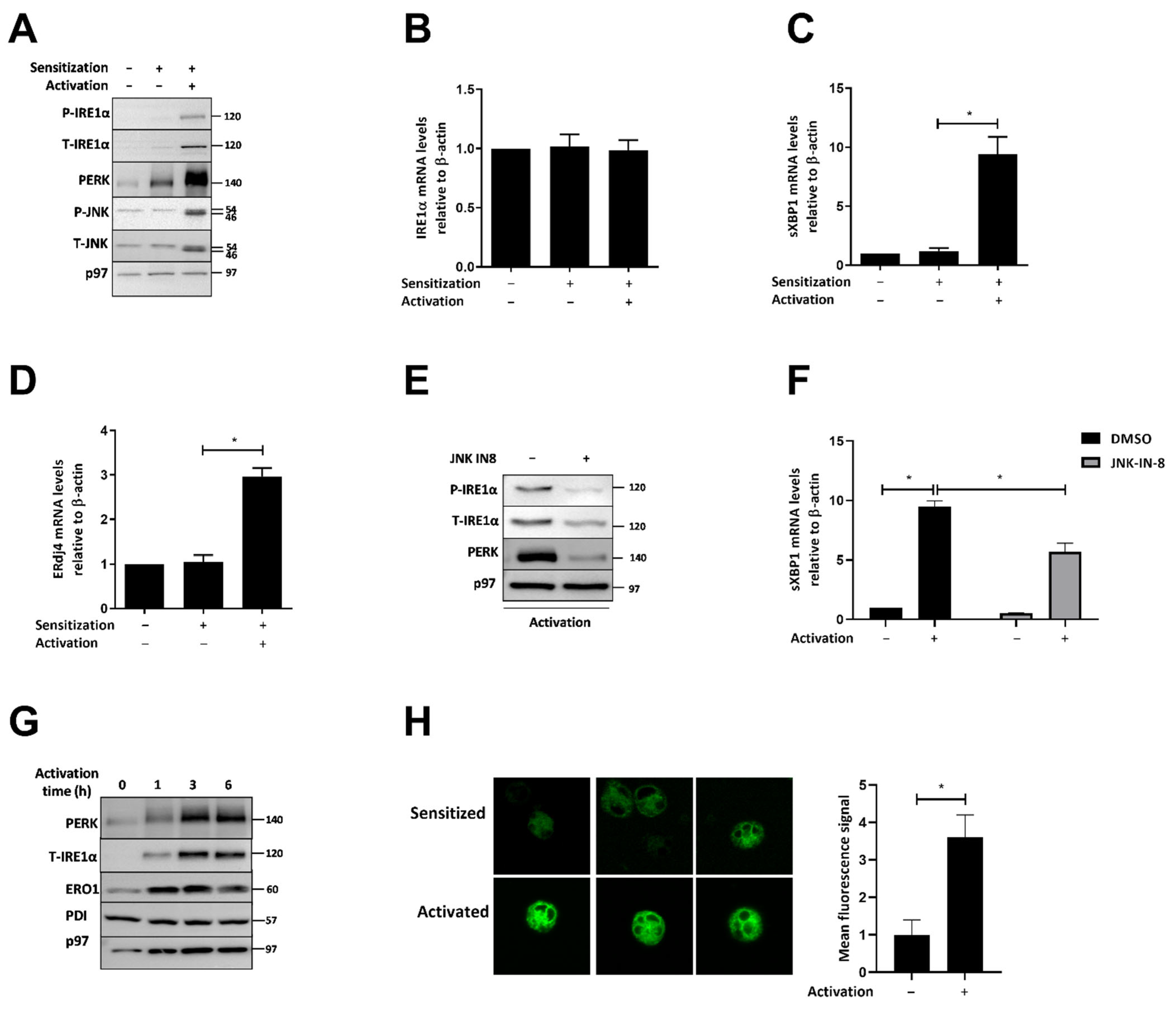 Ijms 23 11826 g001 Ijms 23 11826 g001