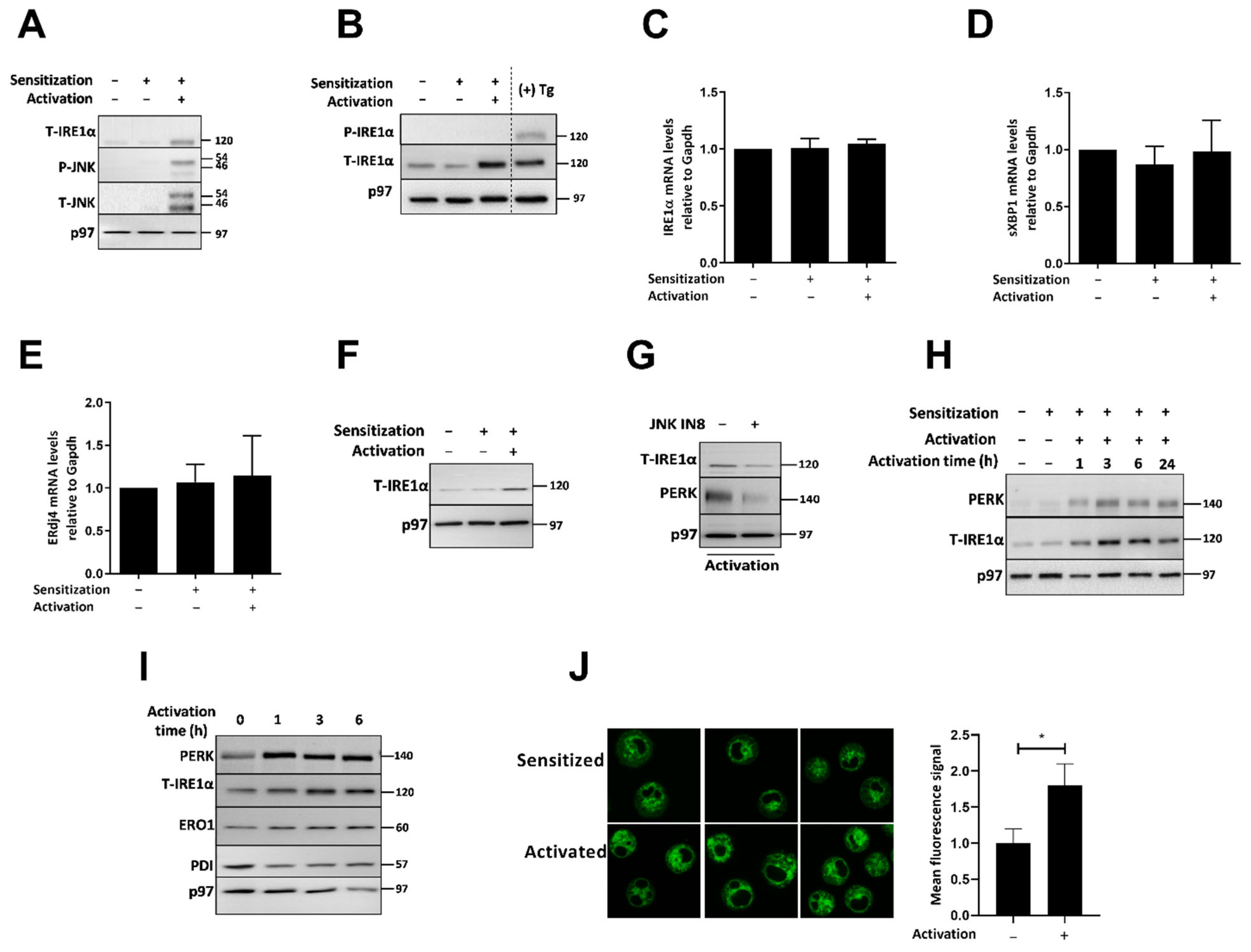 Ijms 23 11826 g003 Ijms 23 11826 g003