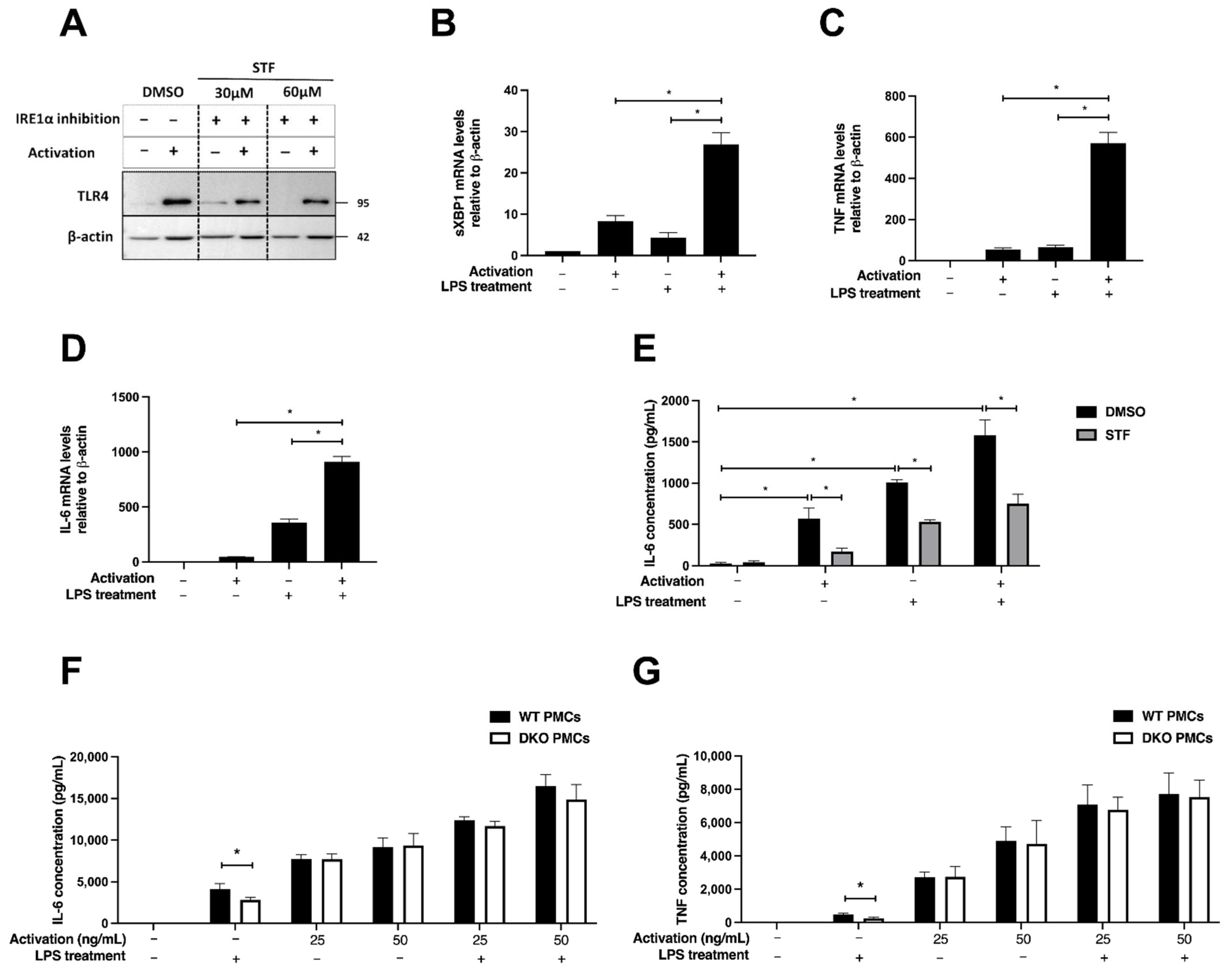 Ijms 23 11826 g006 Ijms 23 11826 g006