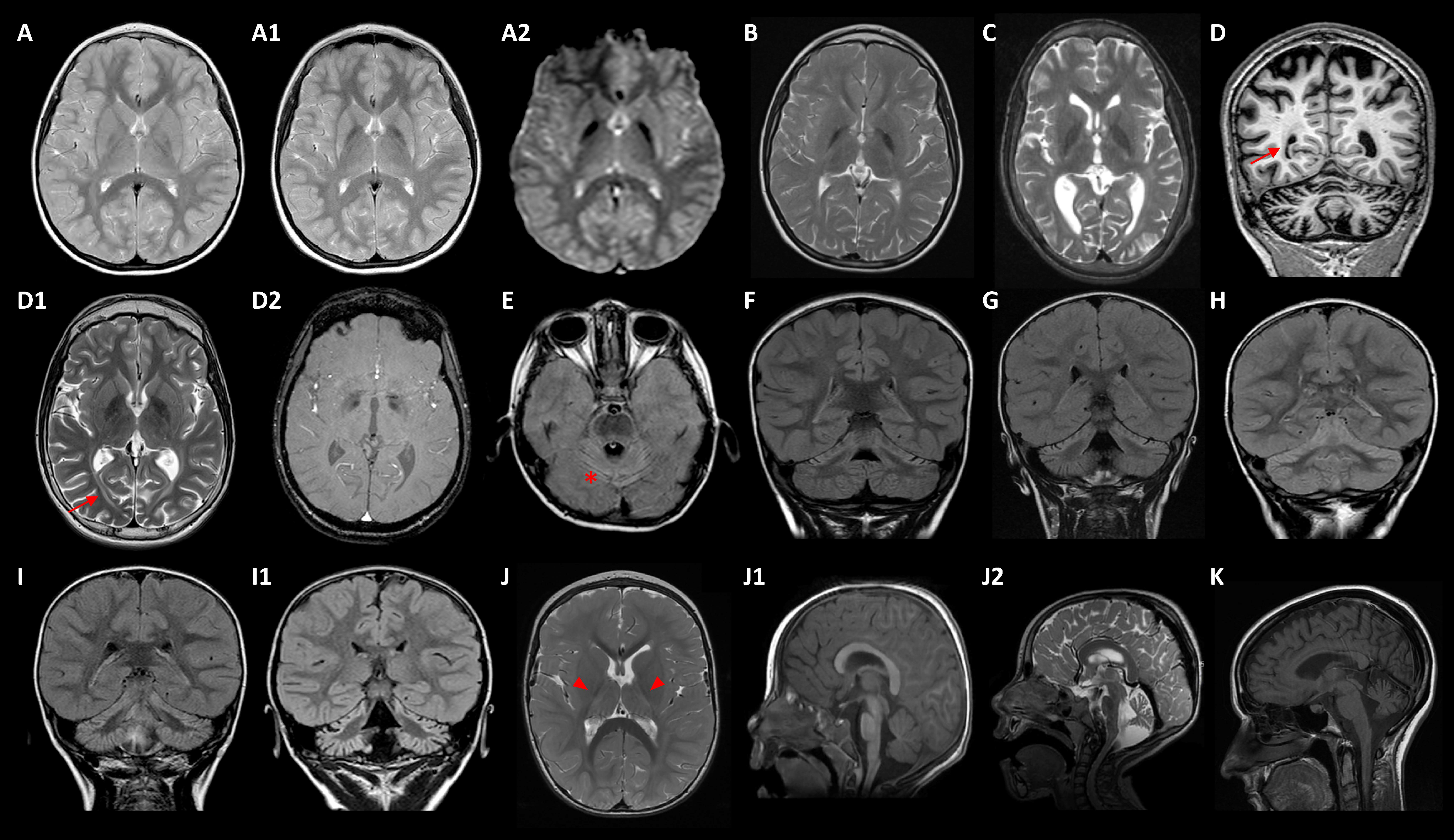 Ijms 23 11847 g002 Ijms 23 11847 g002