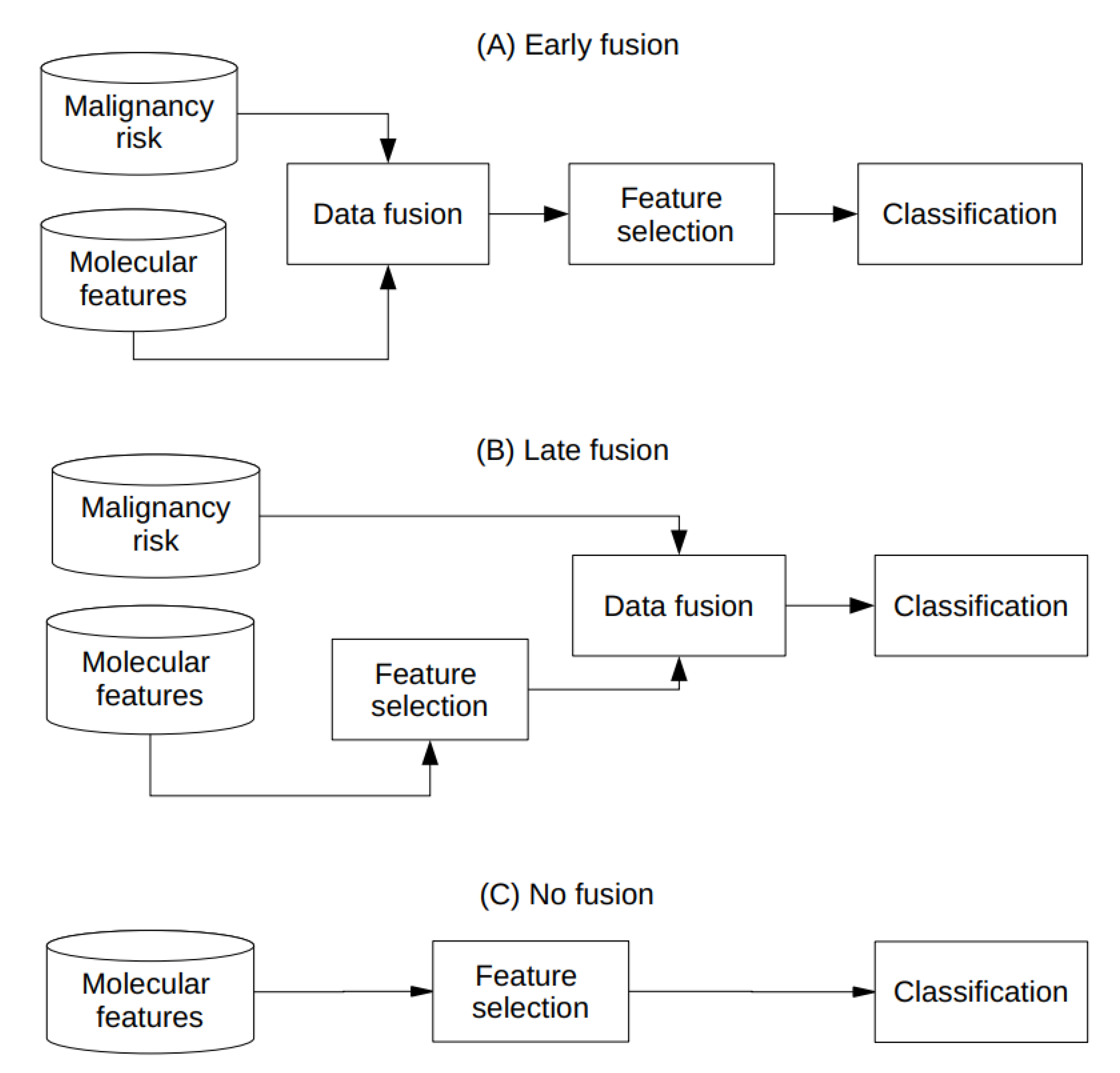 Ijms 23 11880 g008 Ijms 23 11880 g008