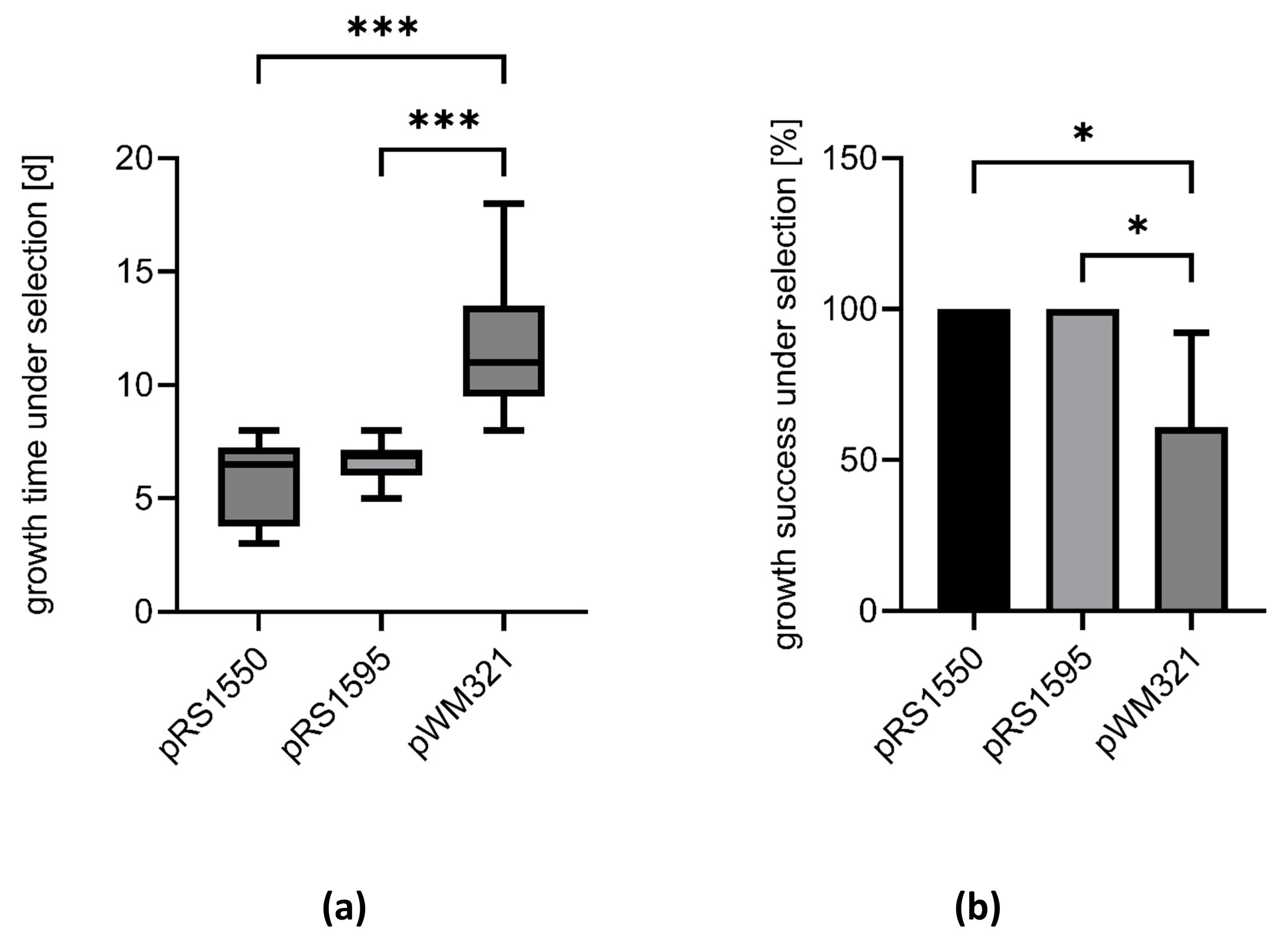Ijms 23 11910 g002 Ijms 23 11910 g002