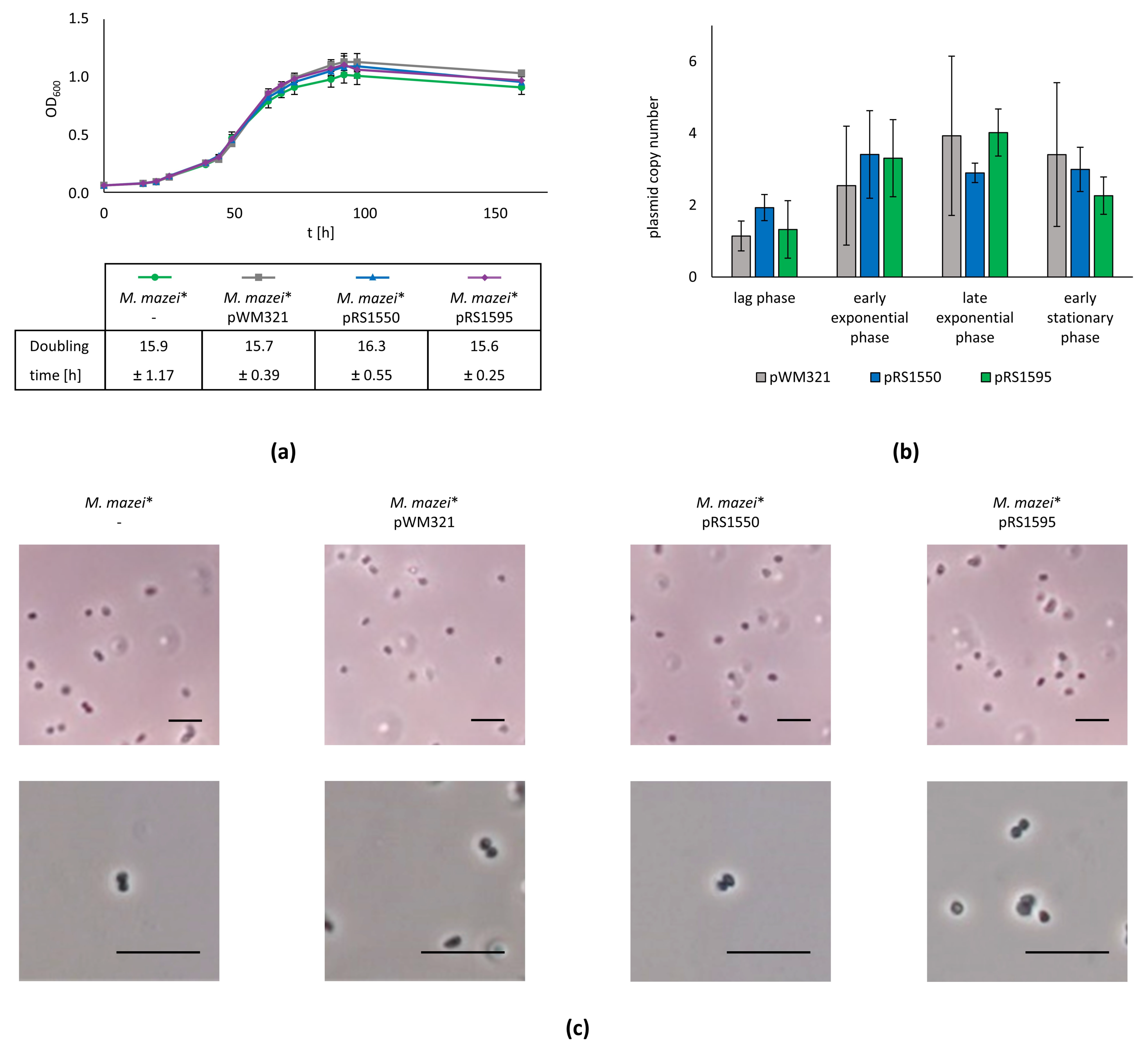 Ijms 23 11910 g003 Ijms 23 11910 g003