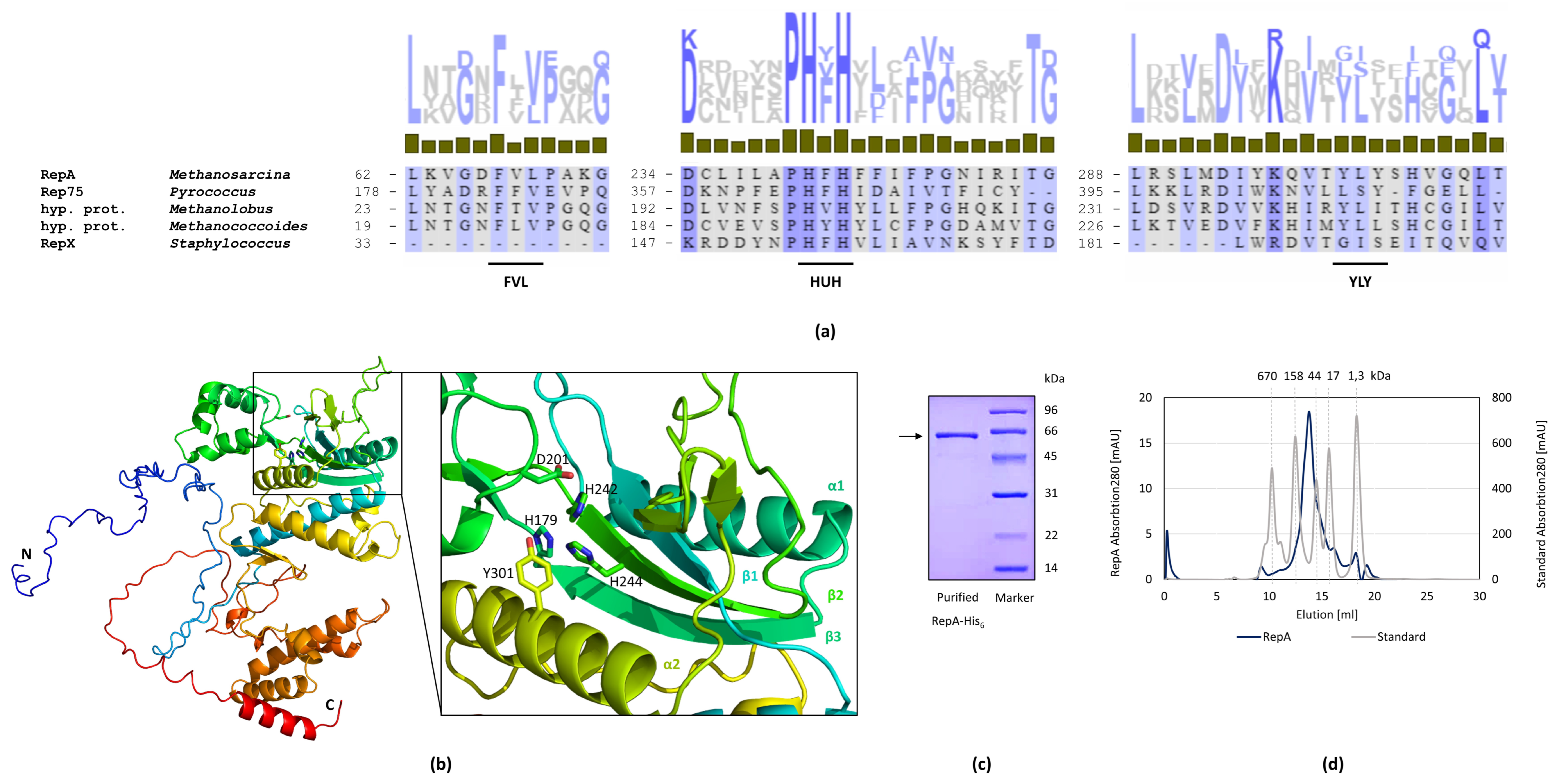 Ijms 23 11910 g004 Ijms 23 11910 g004