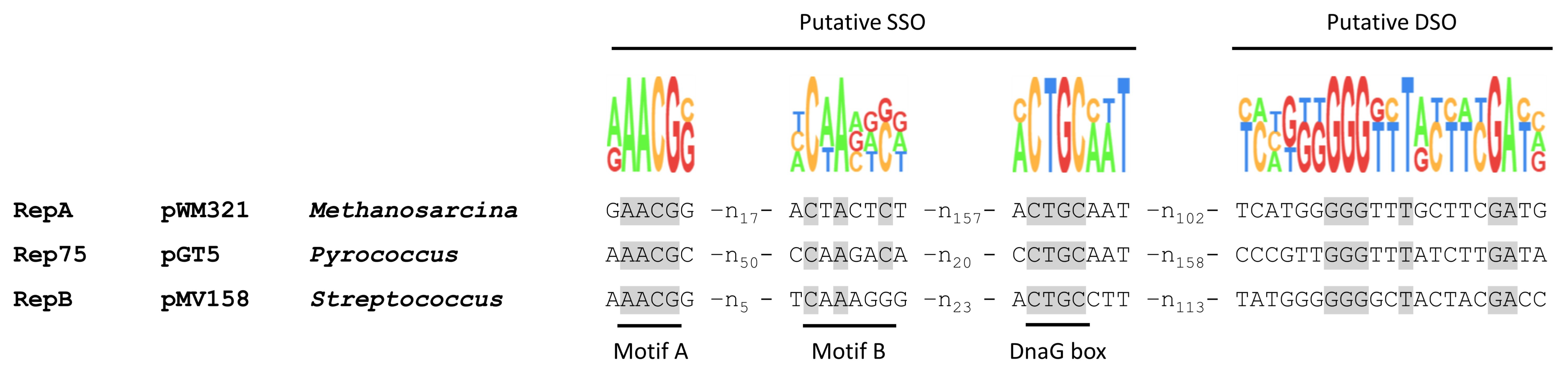 Ijms 23 11910 g006 Ijms 23 11910 g006
