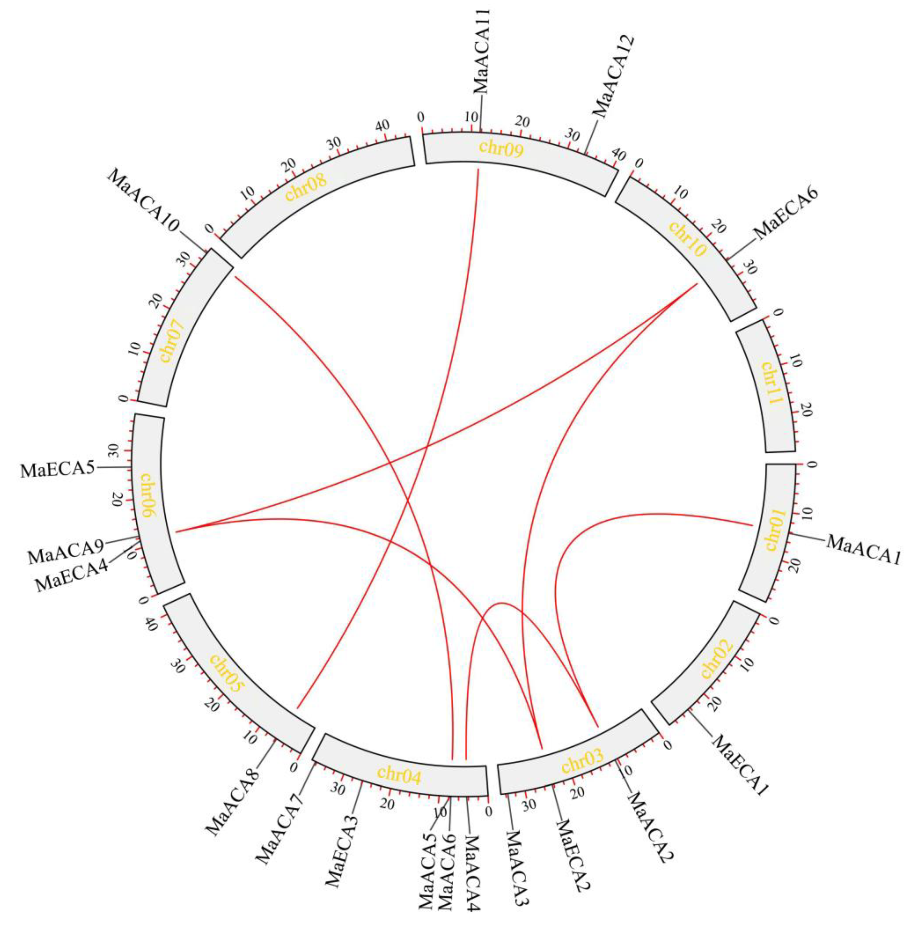 Ijms 23 11914 g001 Ijms 23 11914 g001