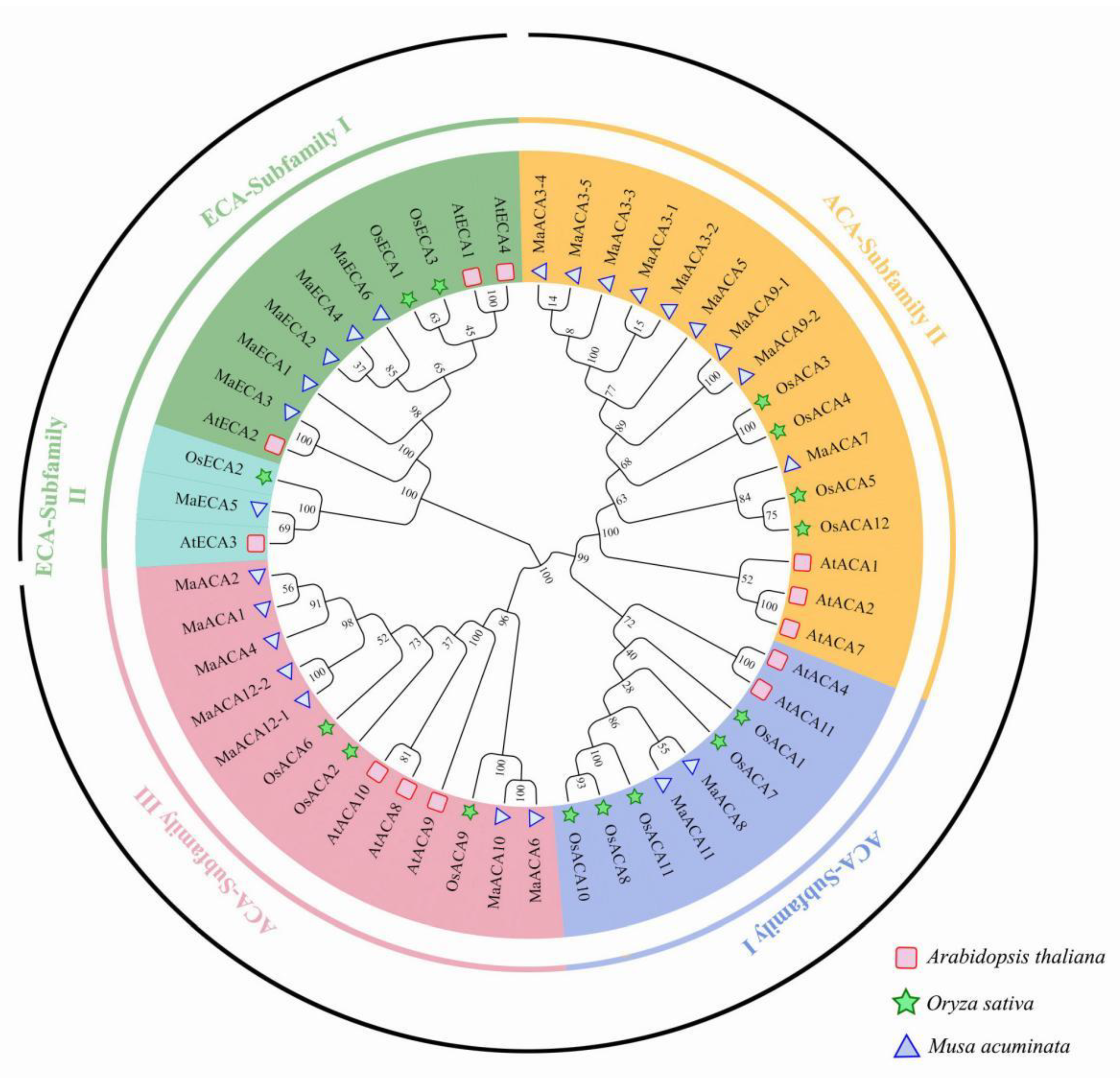 Ijms 23 11914 g002 Ijms 23 11914 g002