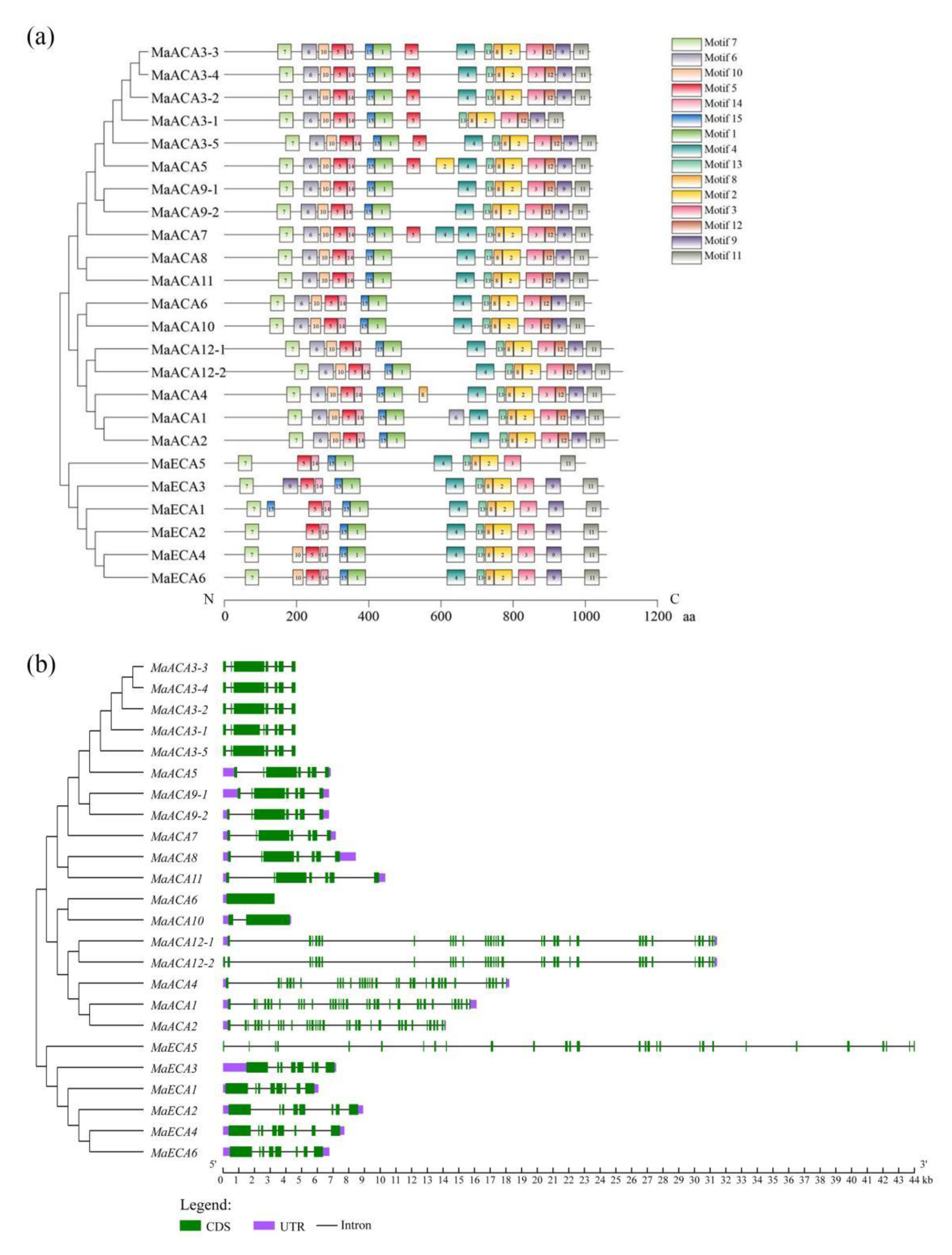 Ijms 23 11914 g003 Ijms 23 11914 g003