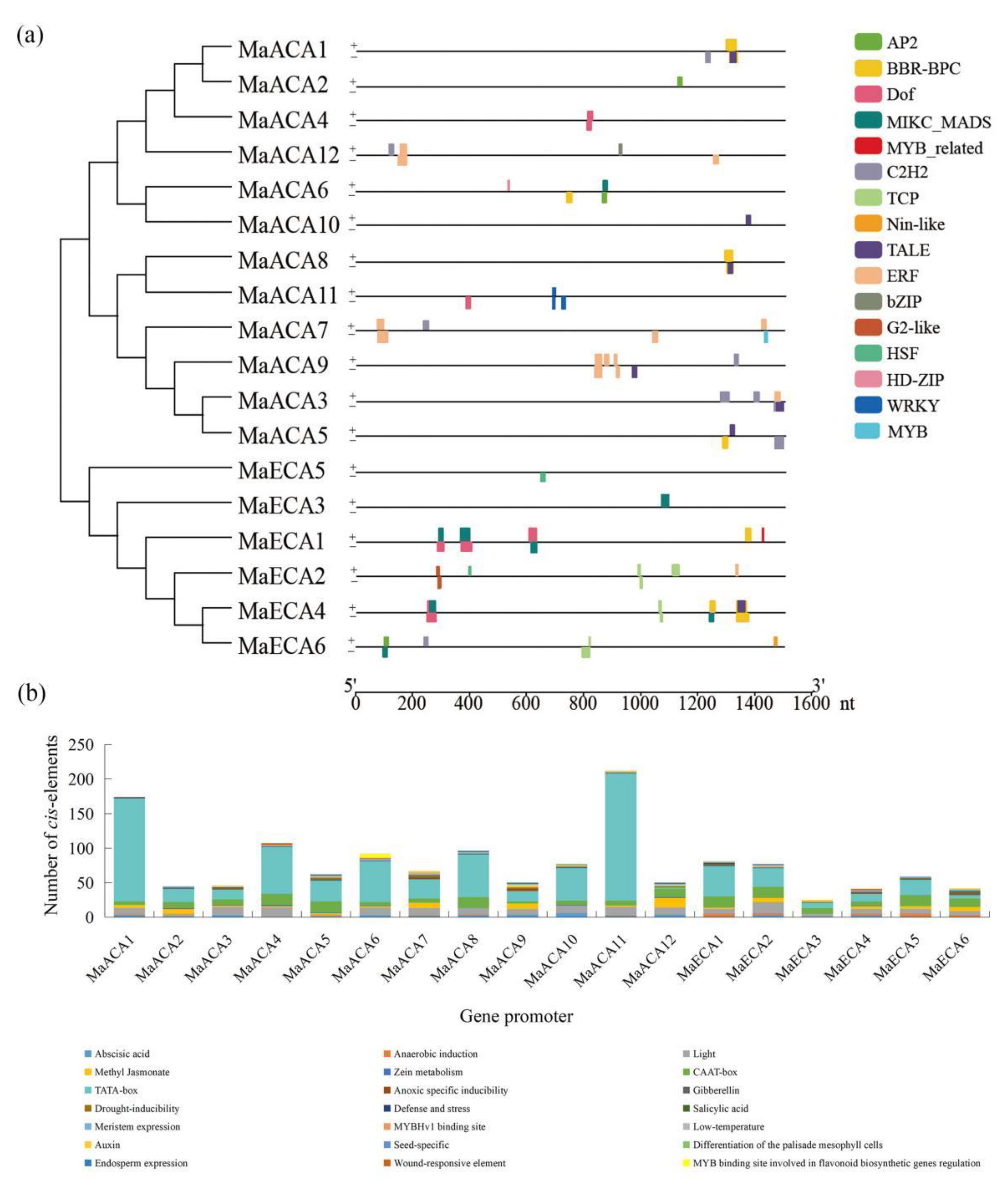 Ijms 23 11914 g004 Ijms 23 11914 g004