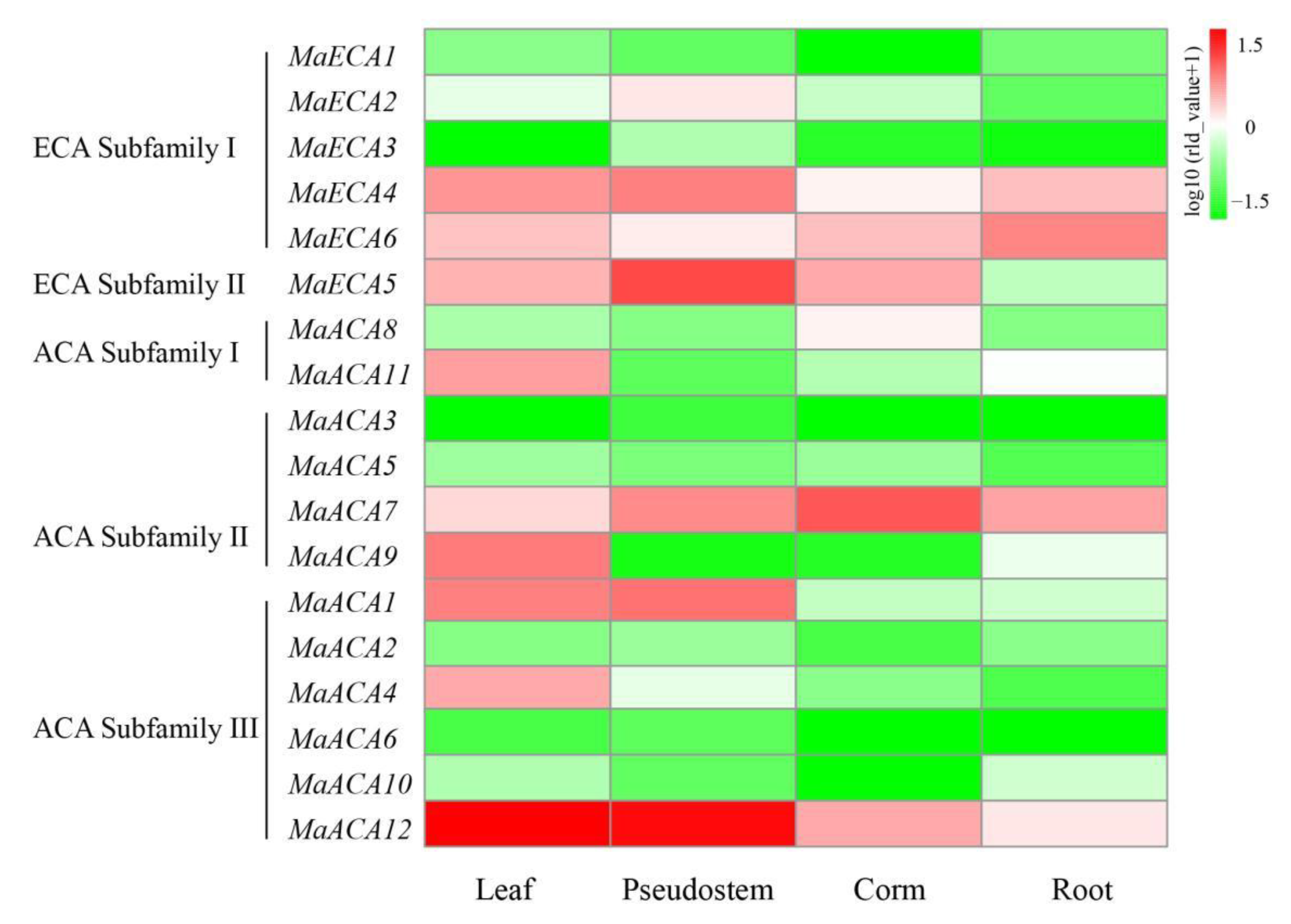 Ijms 23 11914 g005 Ijms 23 11914 g005
