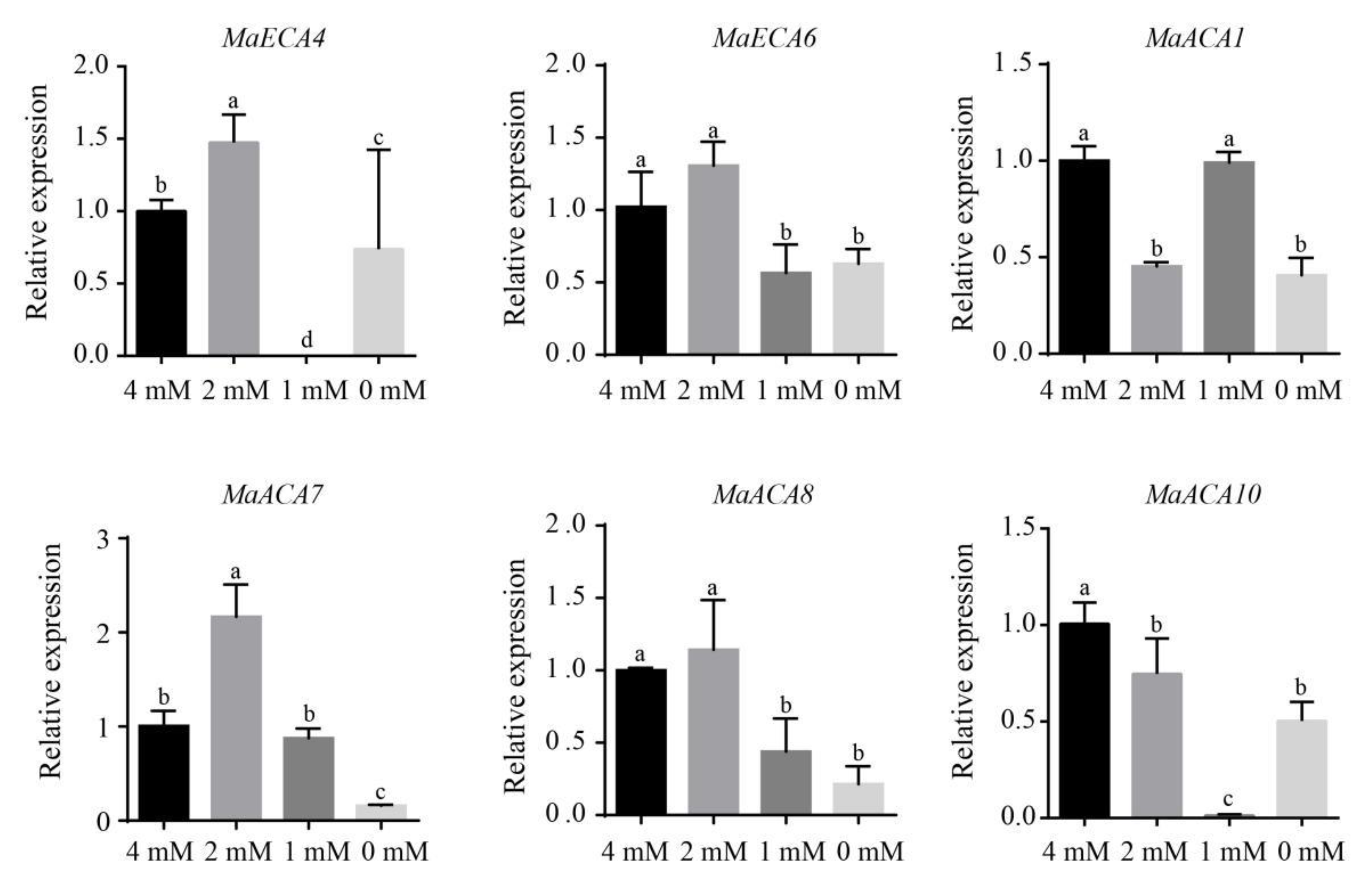 Ijms 23 11914 g008 Ijms 23 11914 g008
