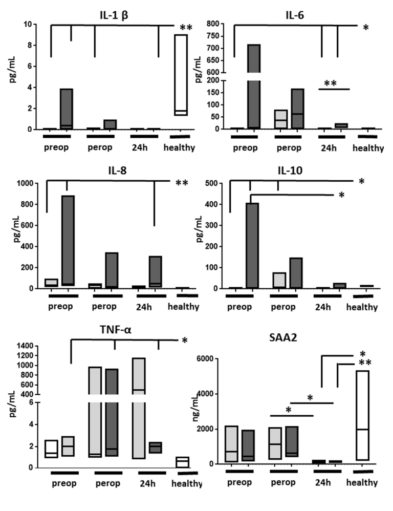 Ijms 23 11929 g005 Ijms 23 11929 g005