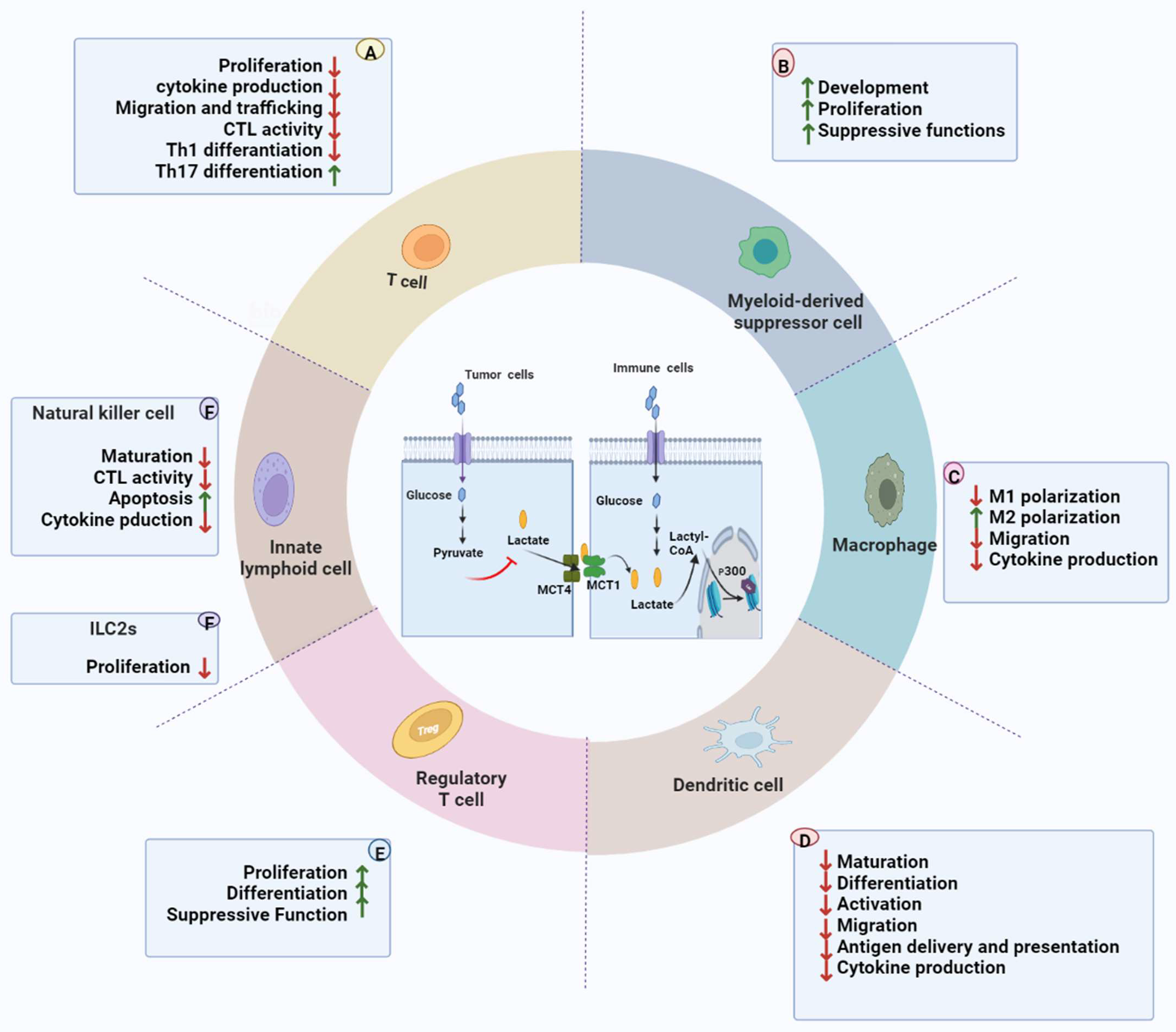 Ijms 23 11943 g002 Ijms 23 11943 g002