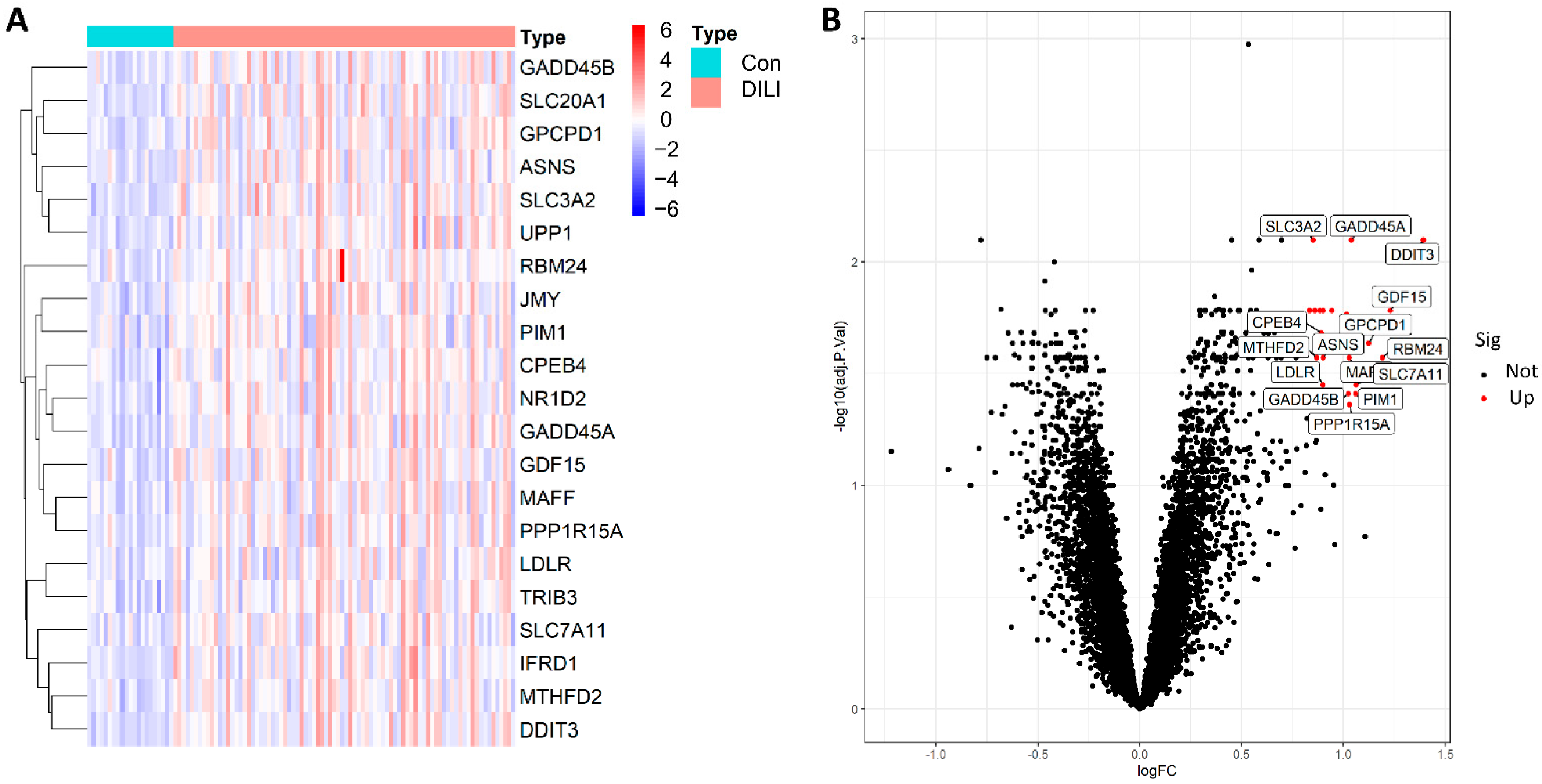 Ijms 23 11945 g002 Ijms 23 11945 g002
