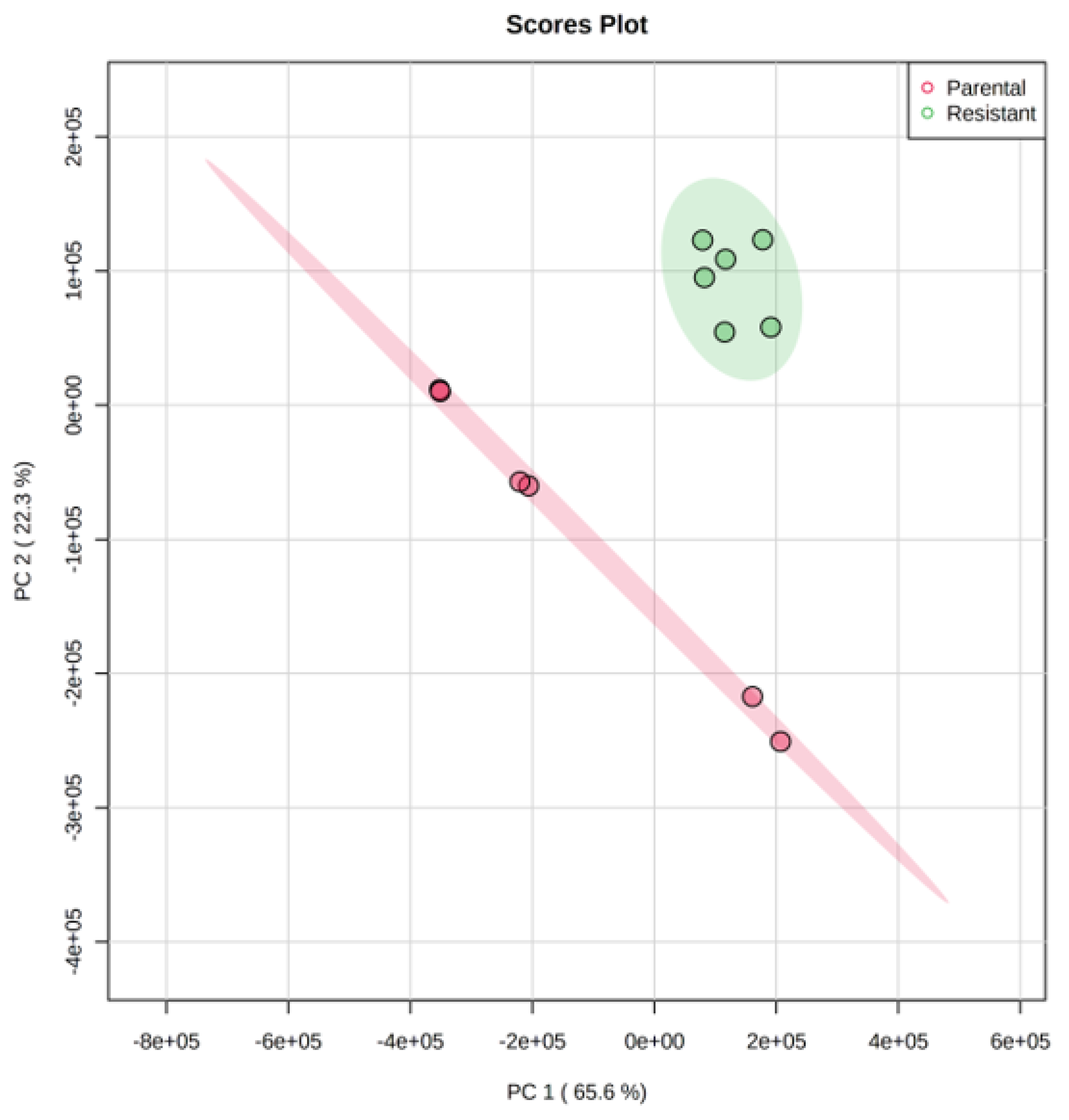 Ijms 23 11975 g002 Ijms 23 11975 g002