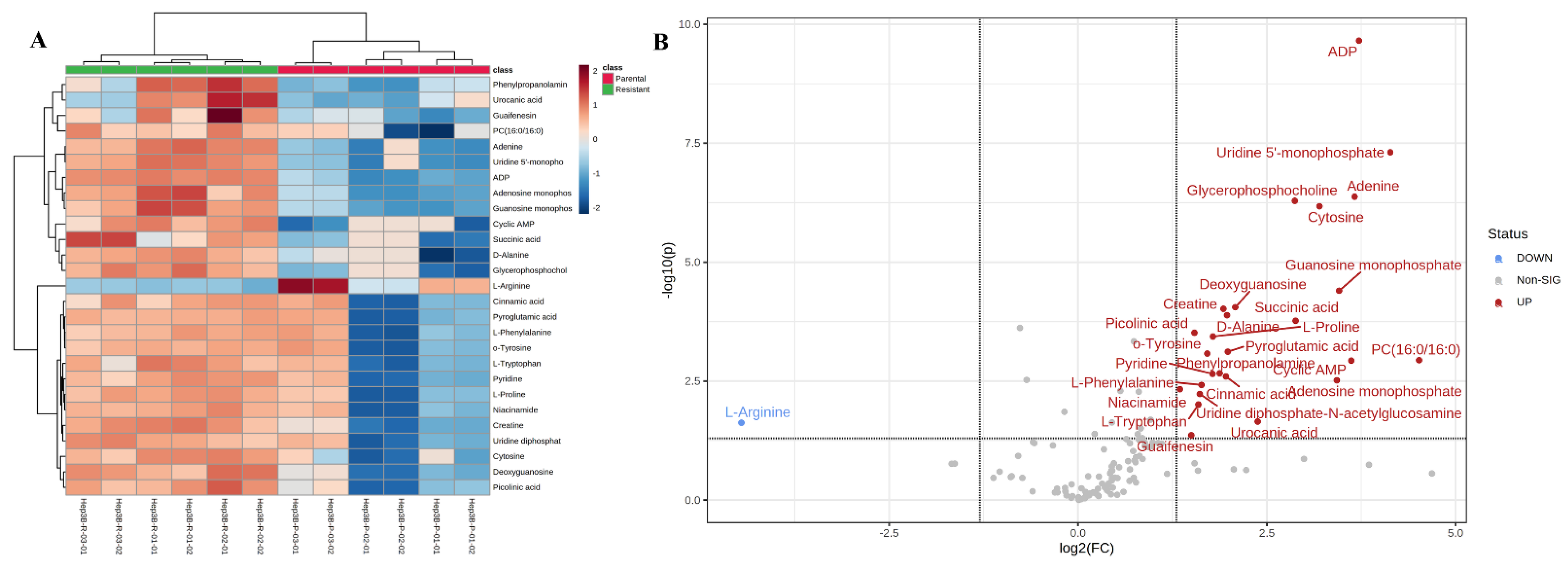 Ijms 23 11975 g003 Ijms 23 11975 g003