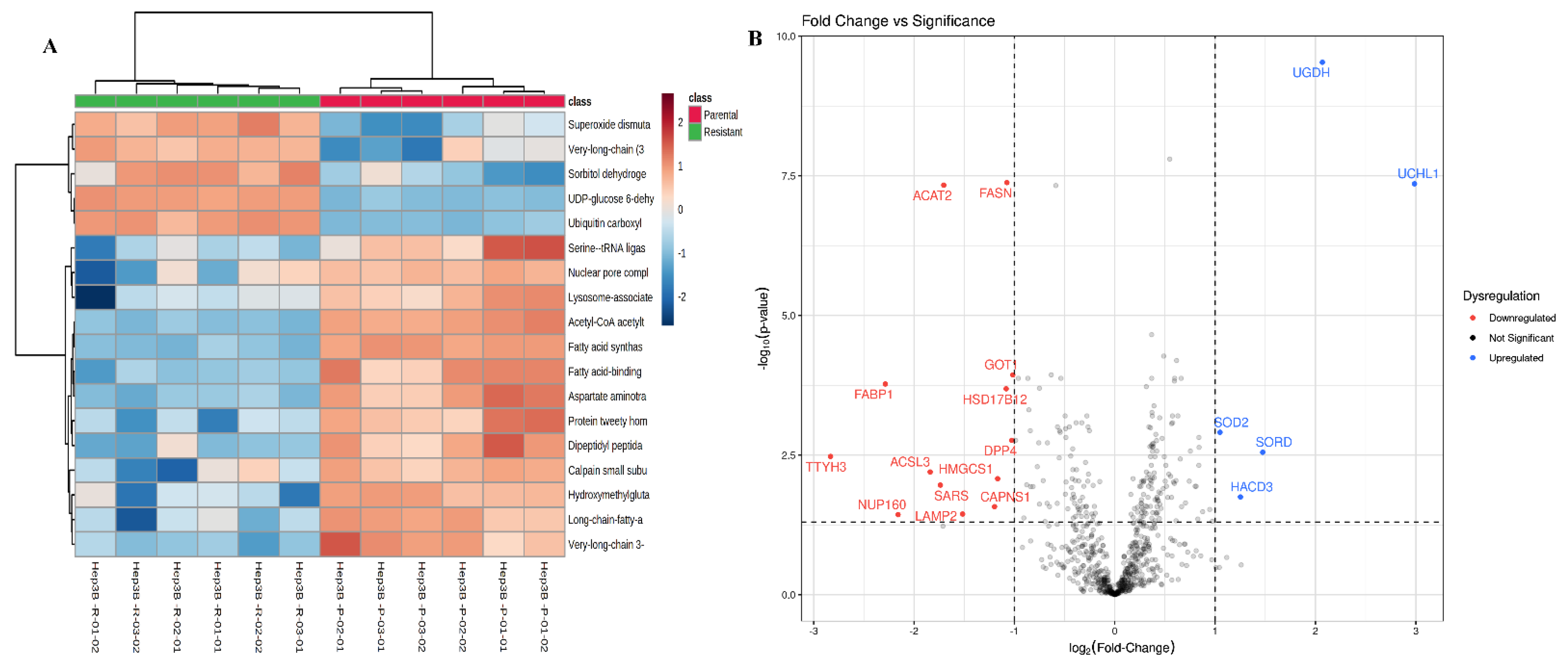 Ijms 23 11975 g005 Ijms 23 11975 g005