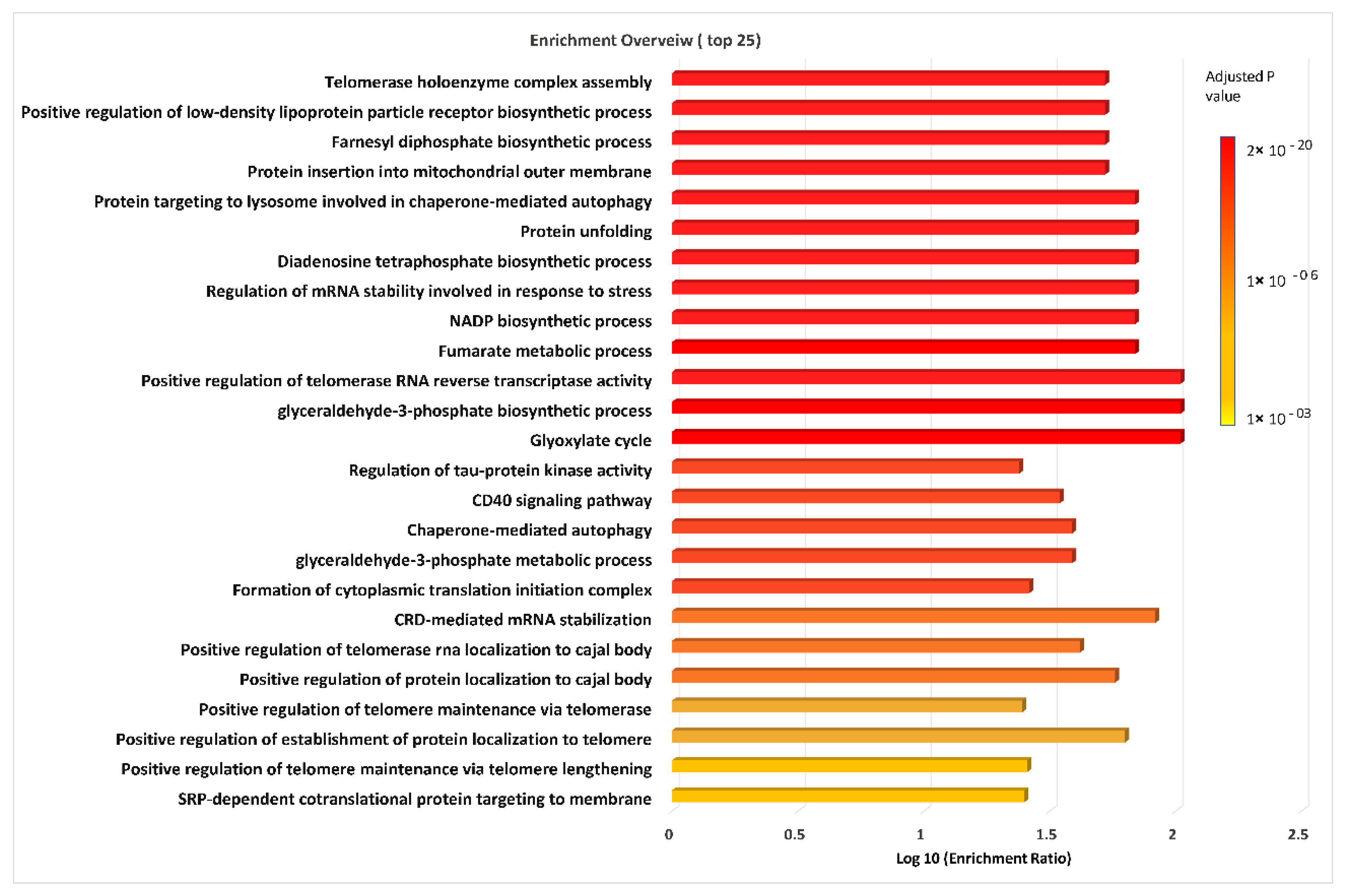 Ijms 23 11975 g006 Ijms 23 11975 g006