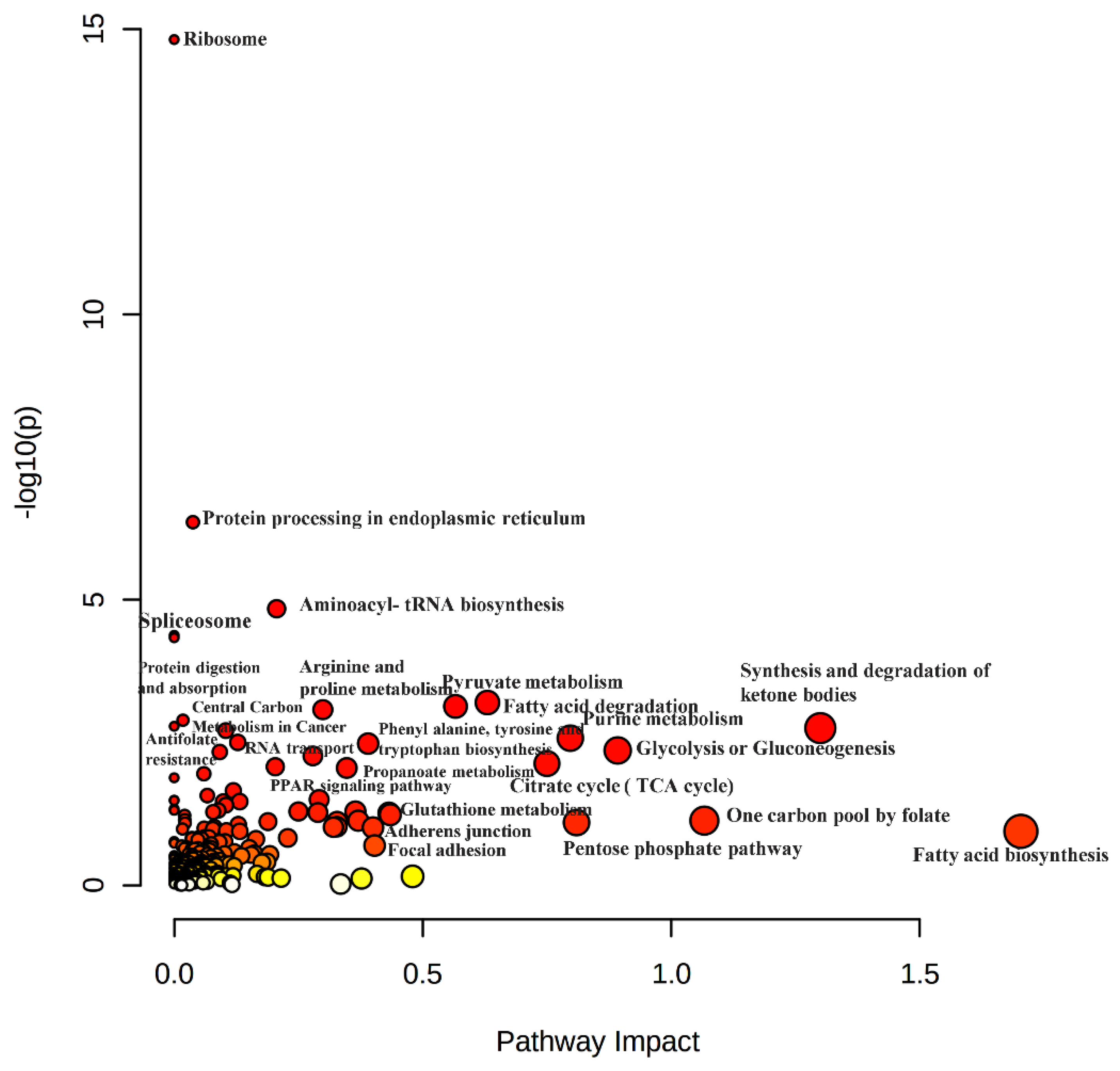 Ijms 23 11975 g007 Ijms 23 11975 g007
