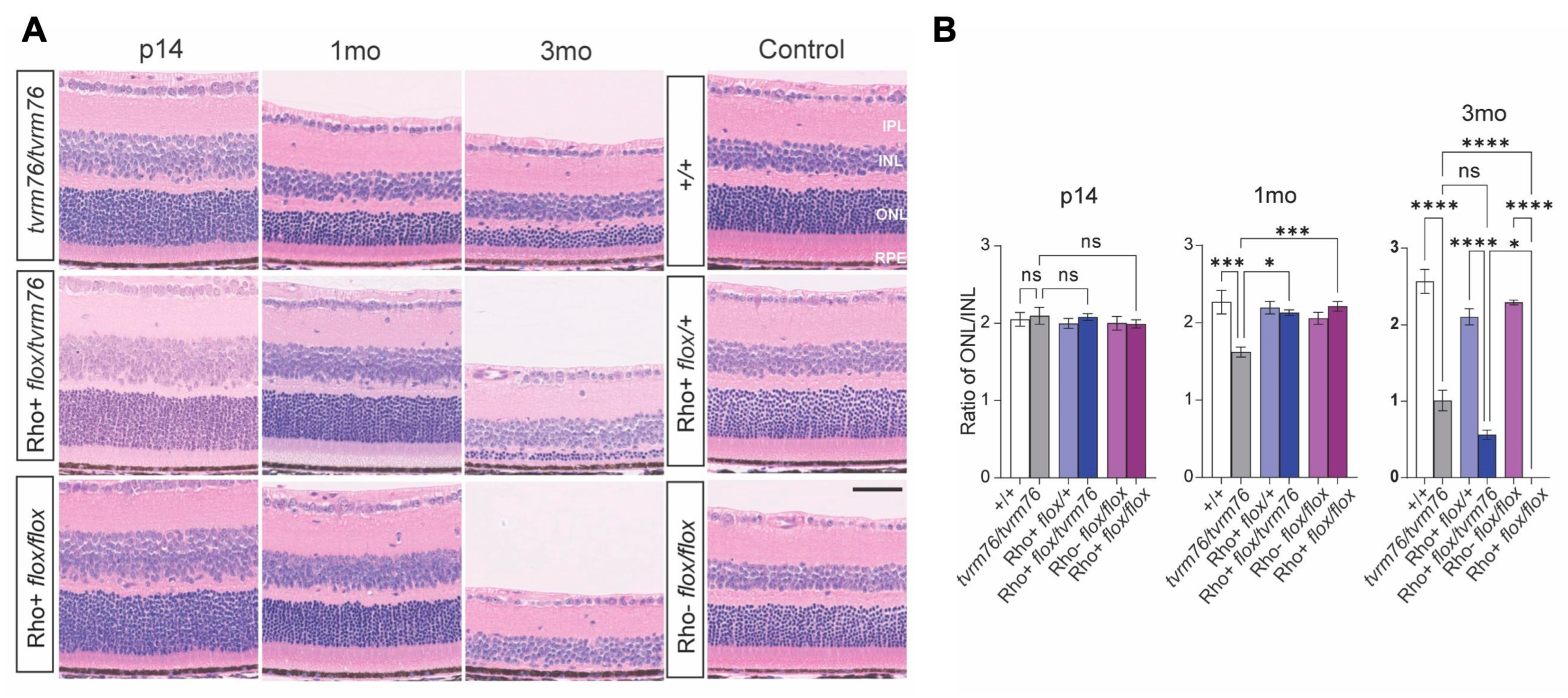 Ijms 23 12005 g003 Ijms 23 12005 g003