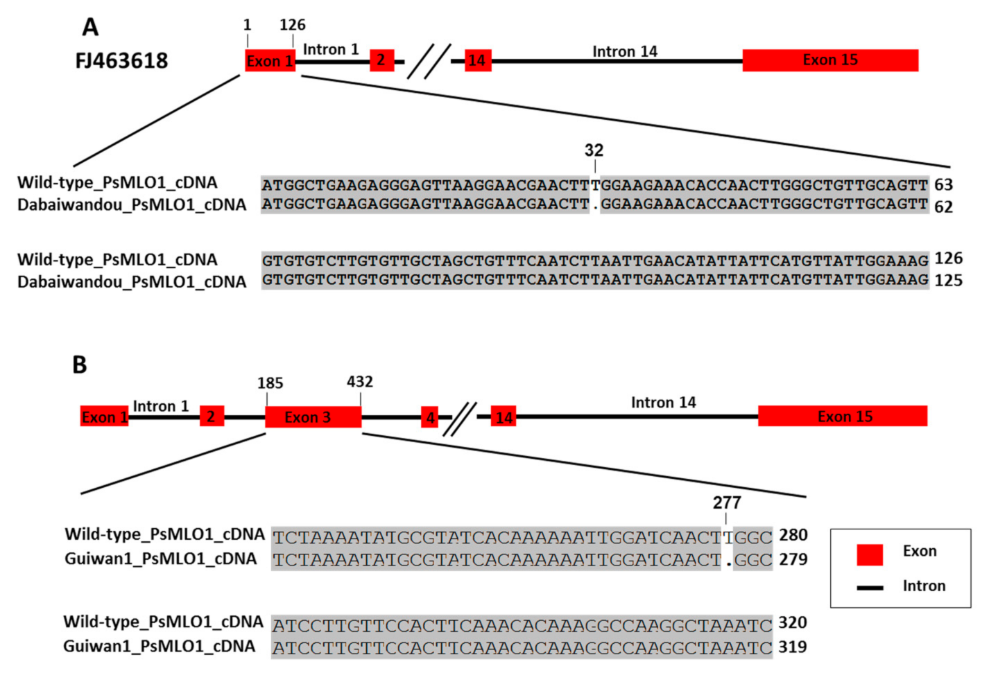 Ijms 23 12016 g003