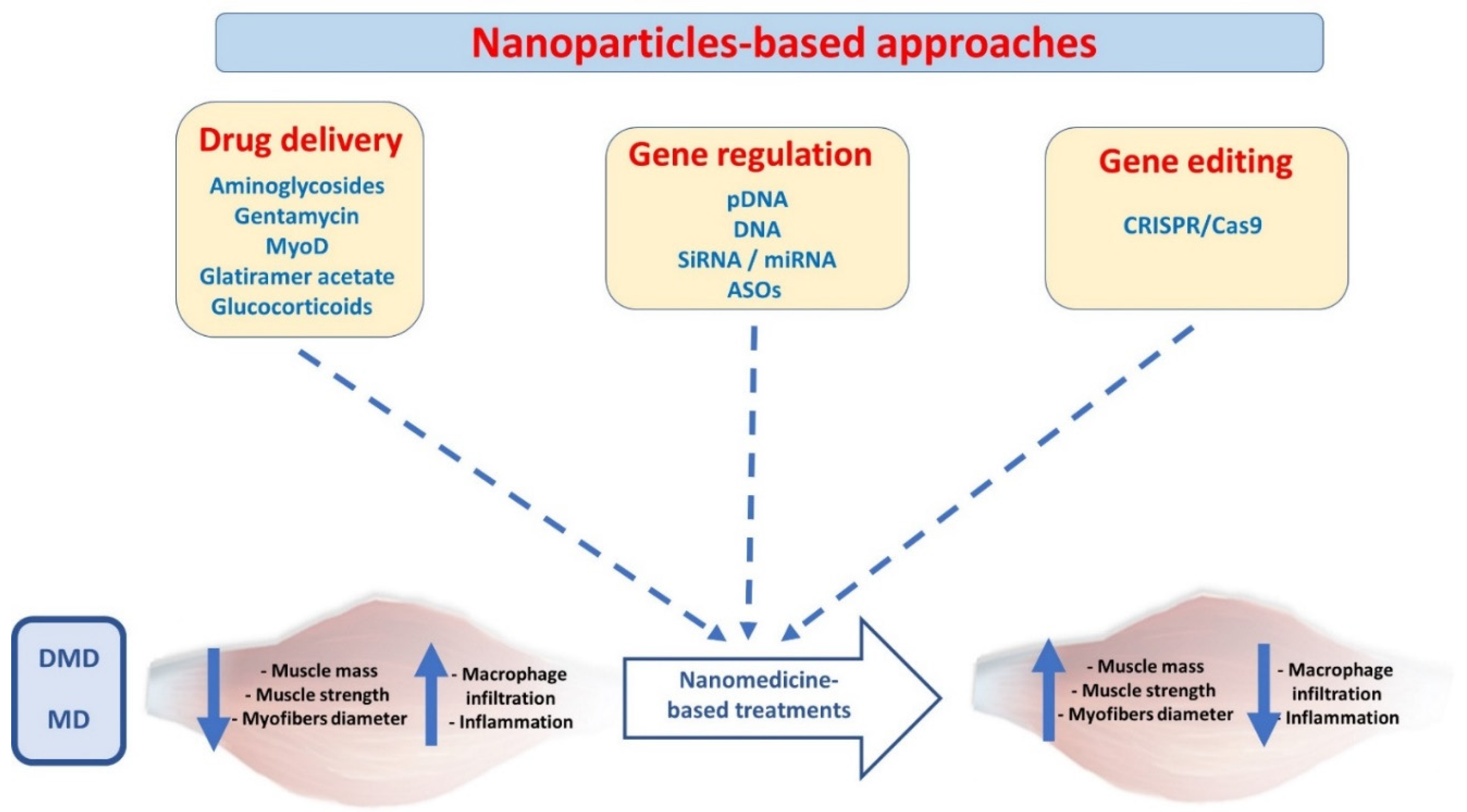 Ijms 23 12039 g002 Ijms 23 12039 g002