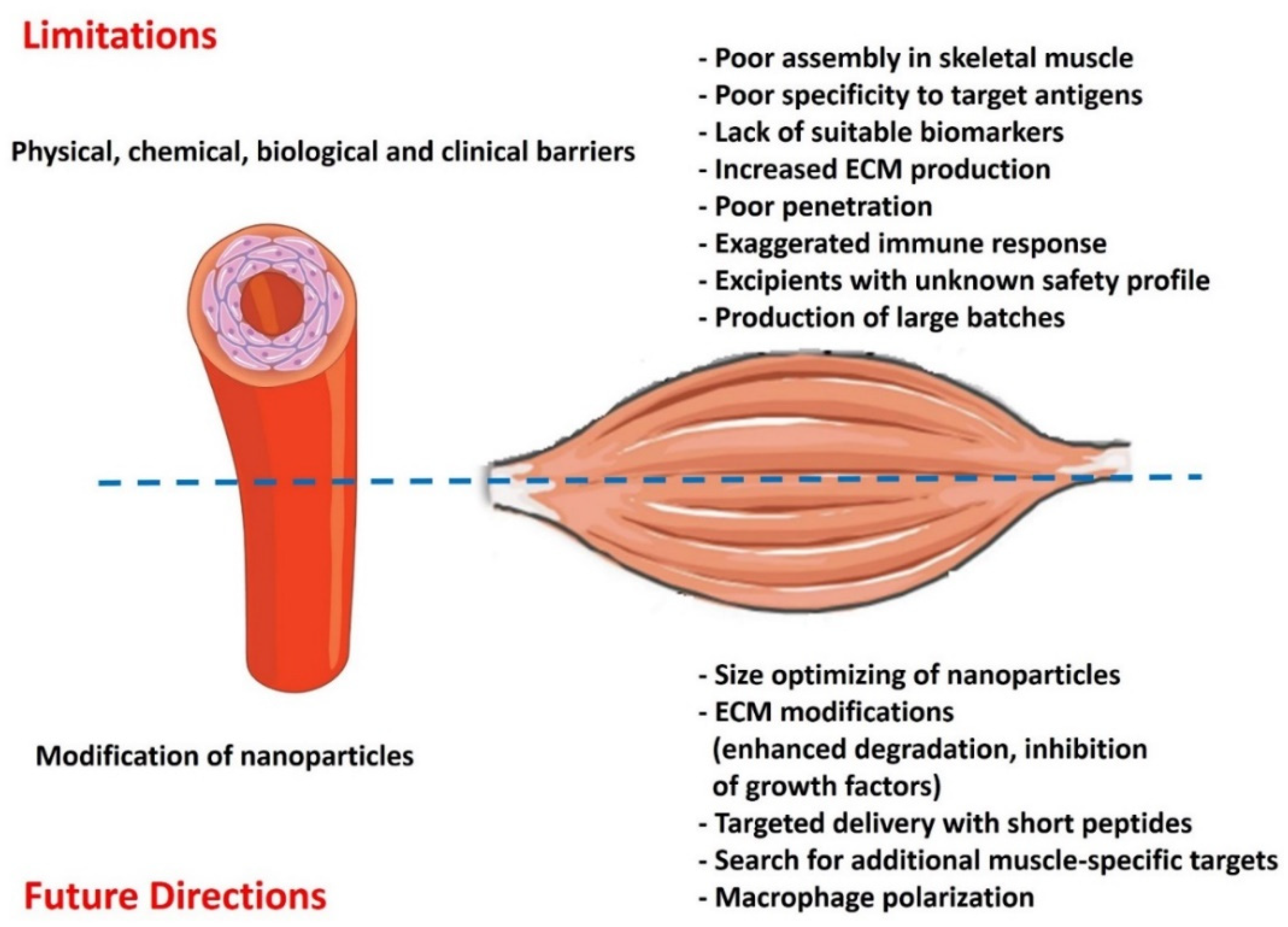 Ijms 23 12039 g003 Ijms 23 12039 g003