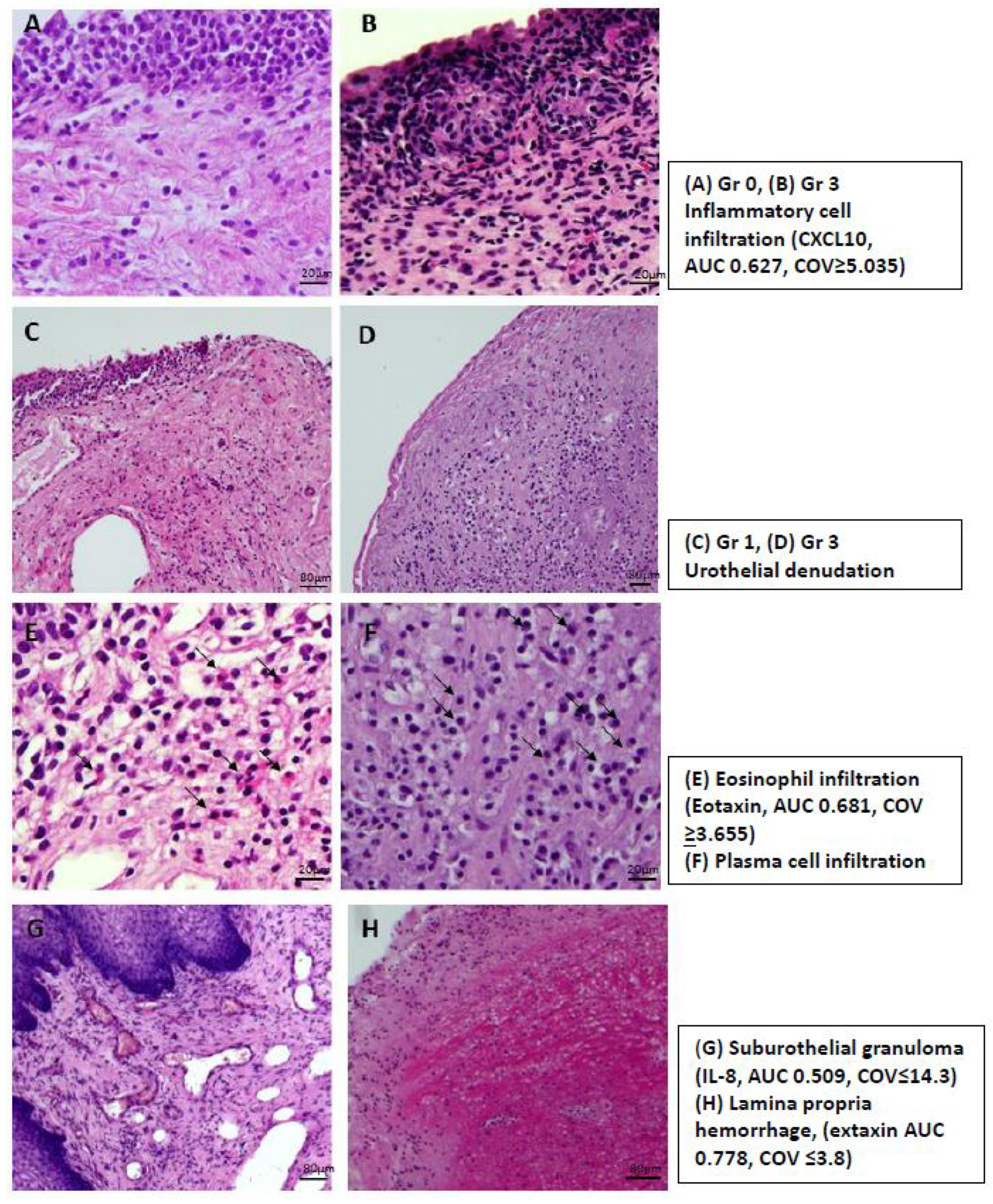 Ijms 23 12044 g001 Ijms 23 12044 g001