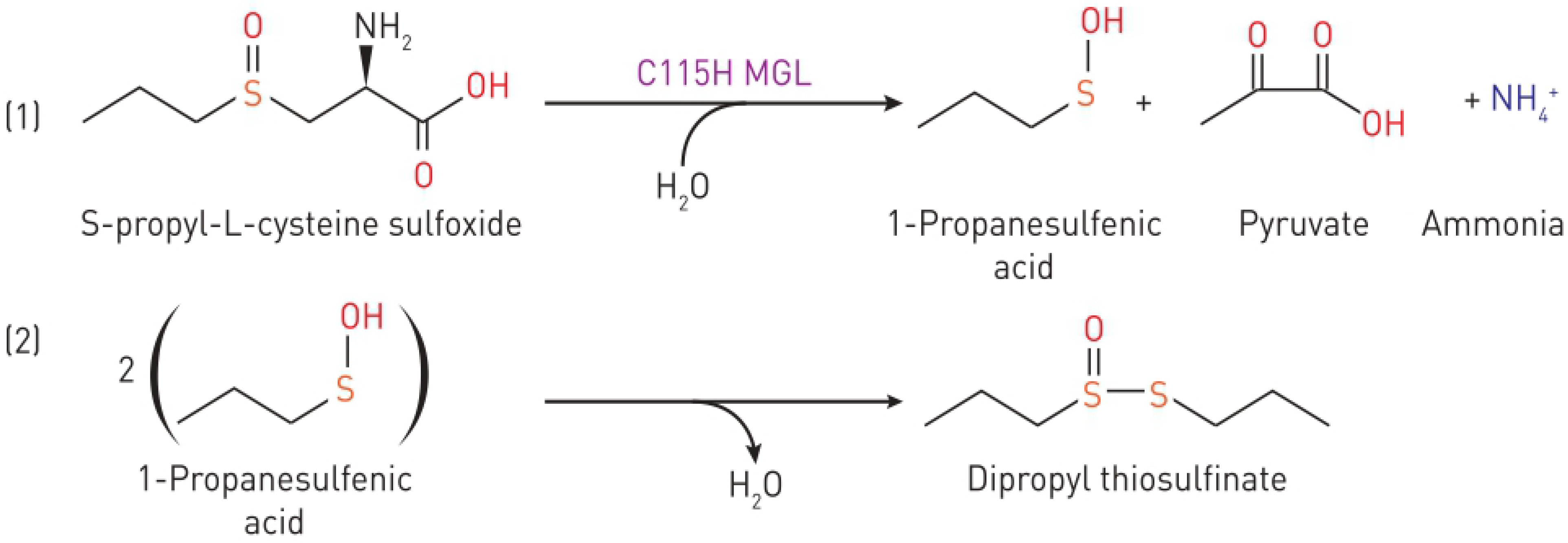 Ijms 23 12048 sch001