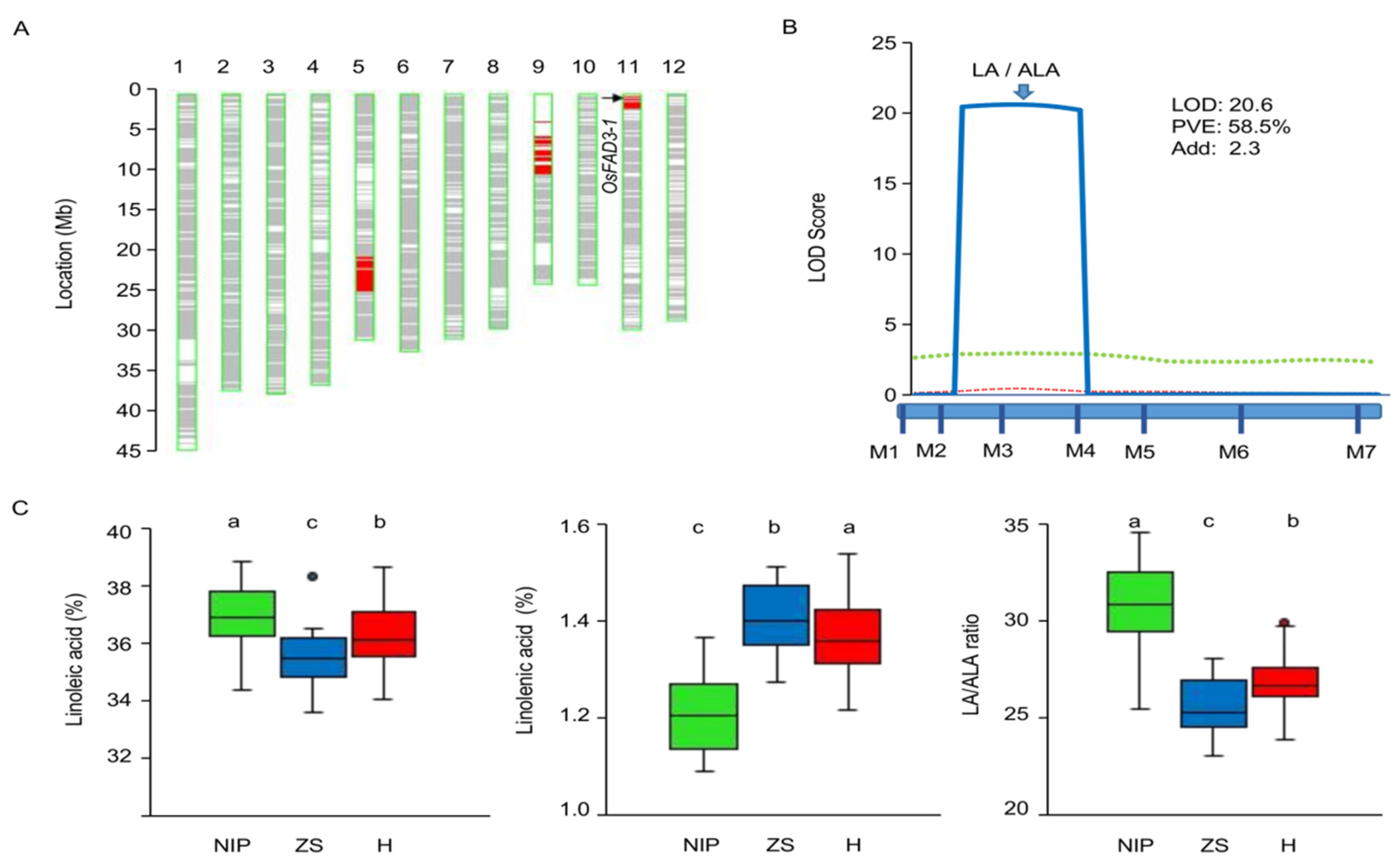 Ijms 23 12055 g002 Ijms 23 12055 g002