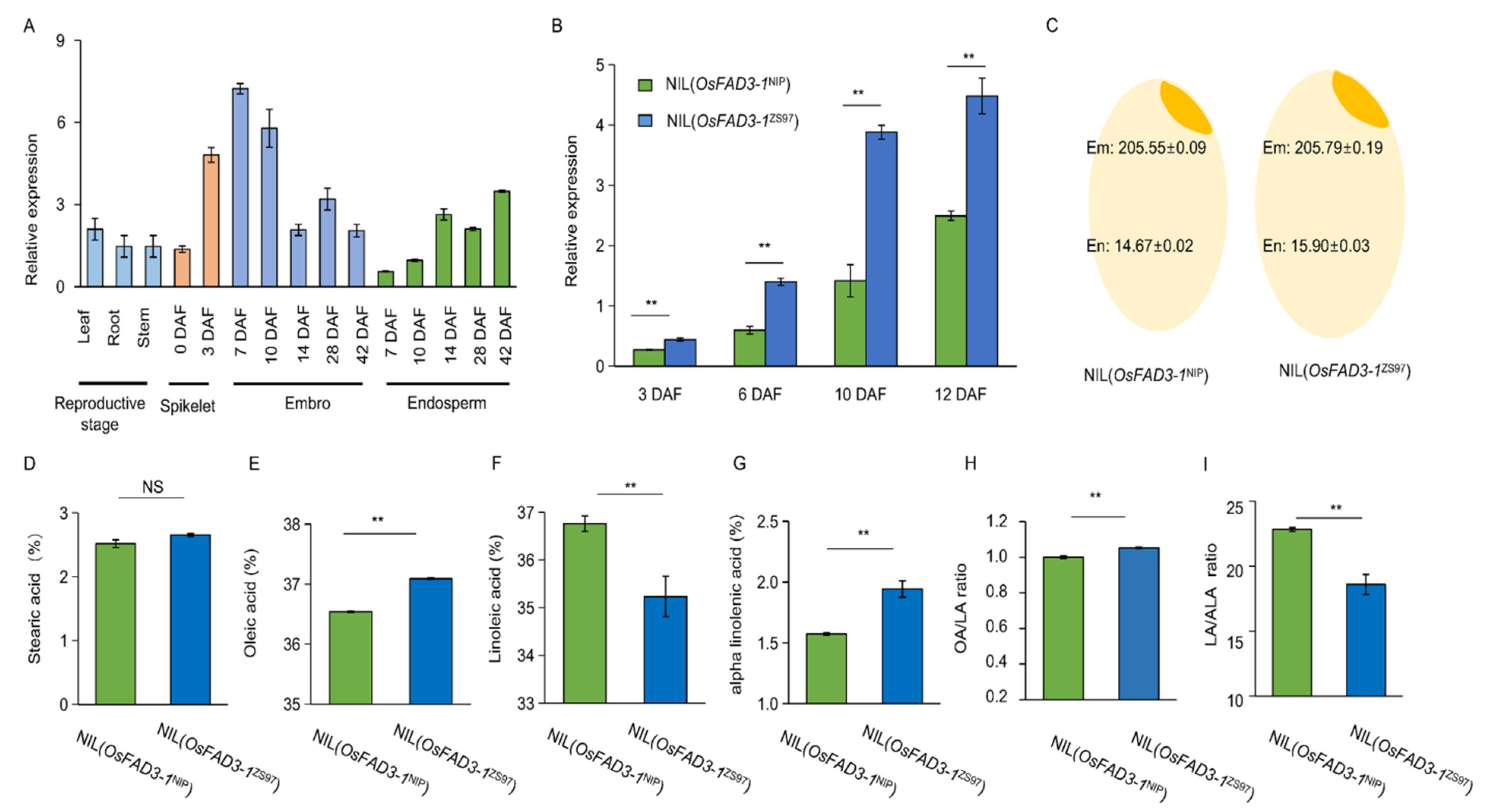 Ijms 23 12055 g003 Ijms 23 12055 g003