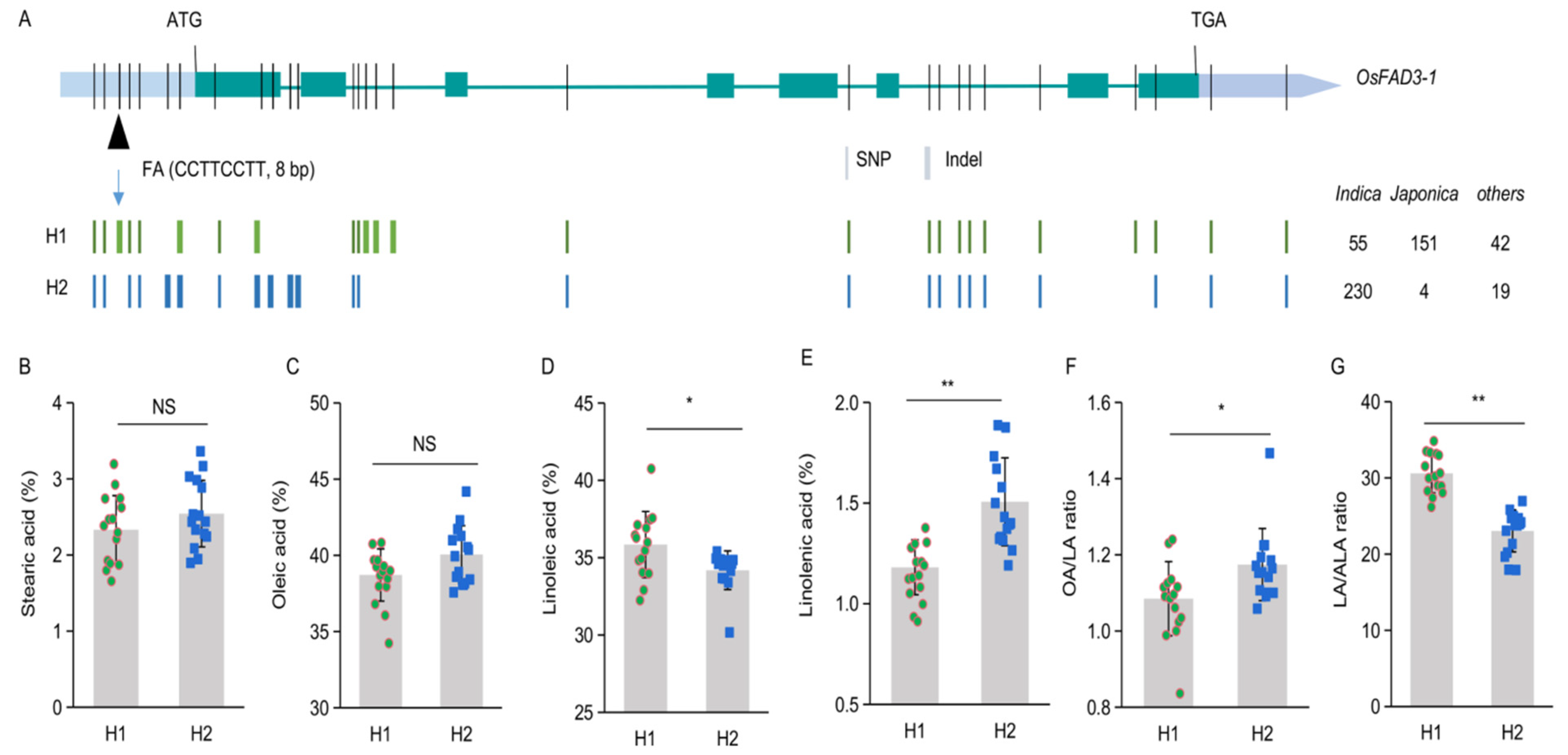 Ijms 23 12055 g005 Ijms 23 12055 g005