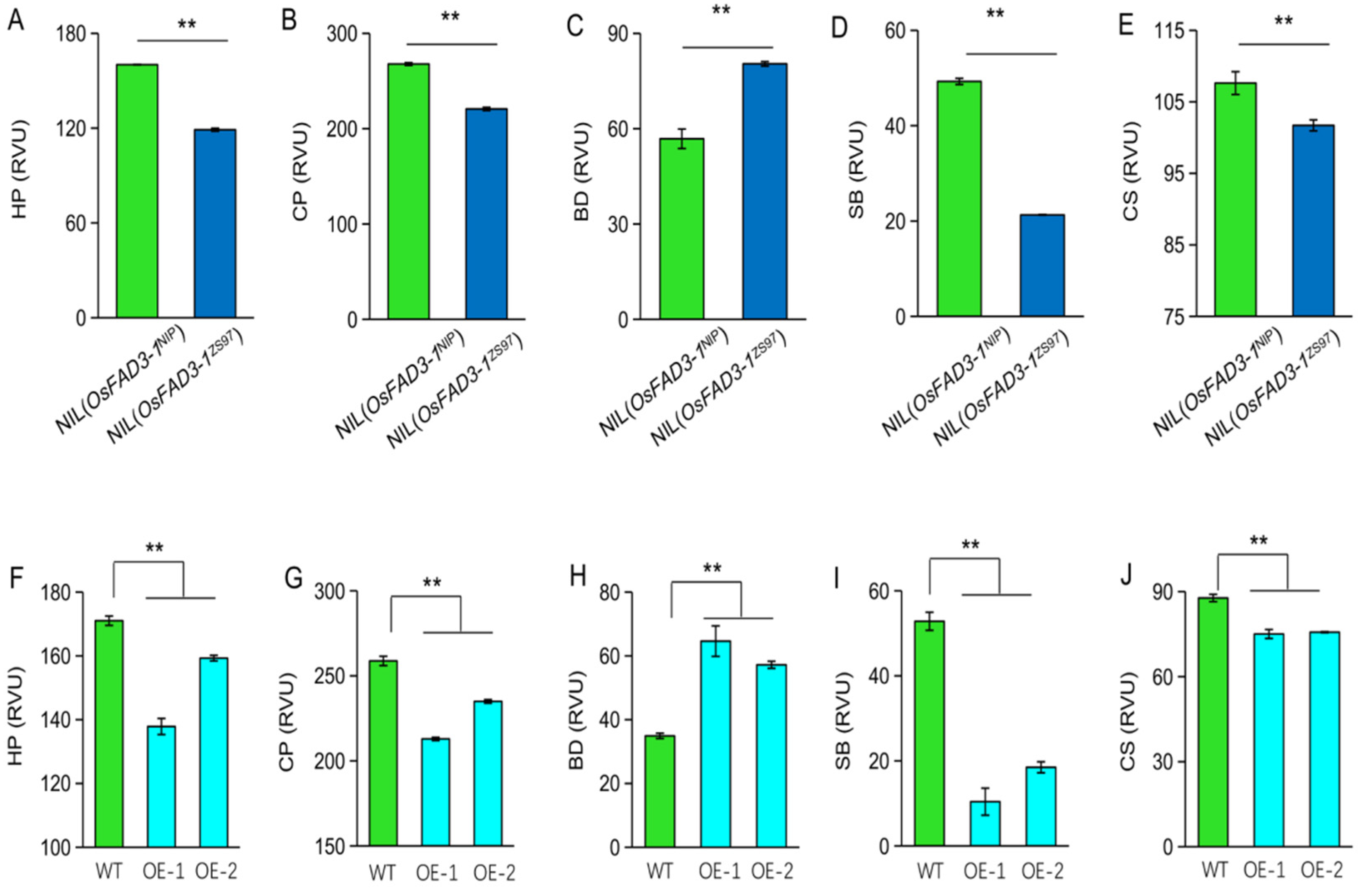 Ijms 23 12055 g006 Ijms 23 12055 g006